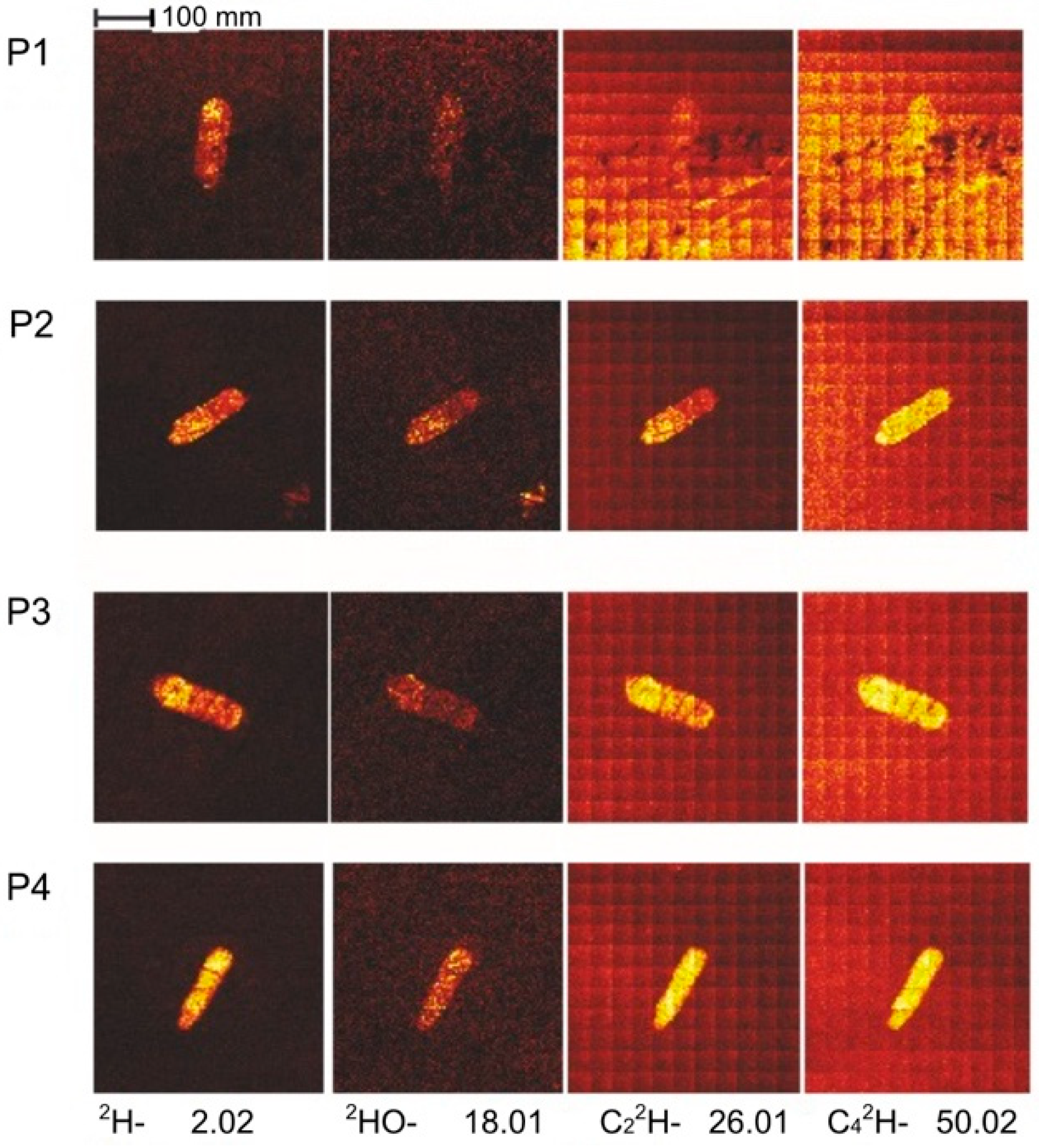 Lubricants 06 00059 g007