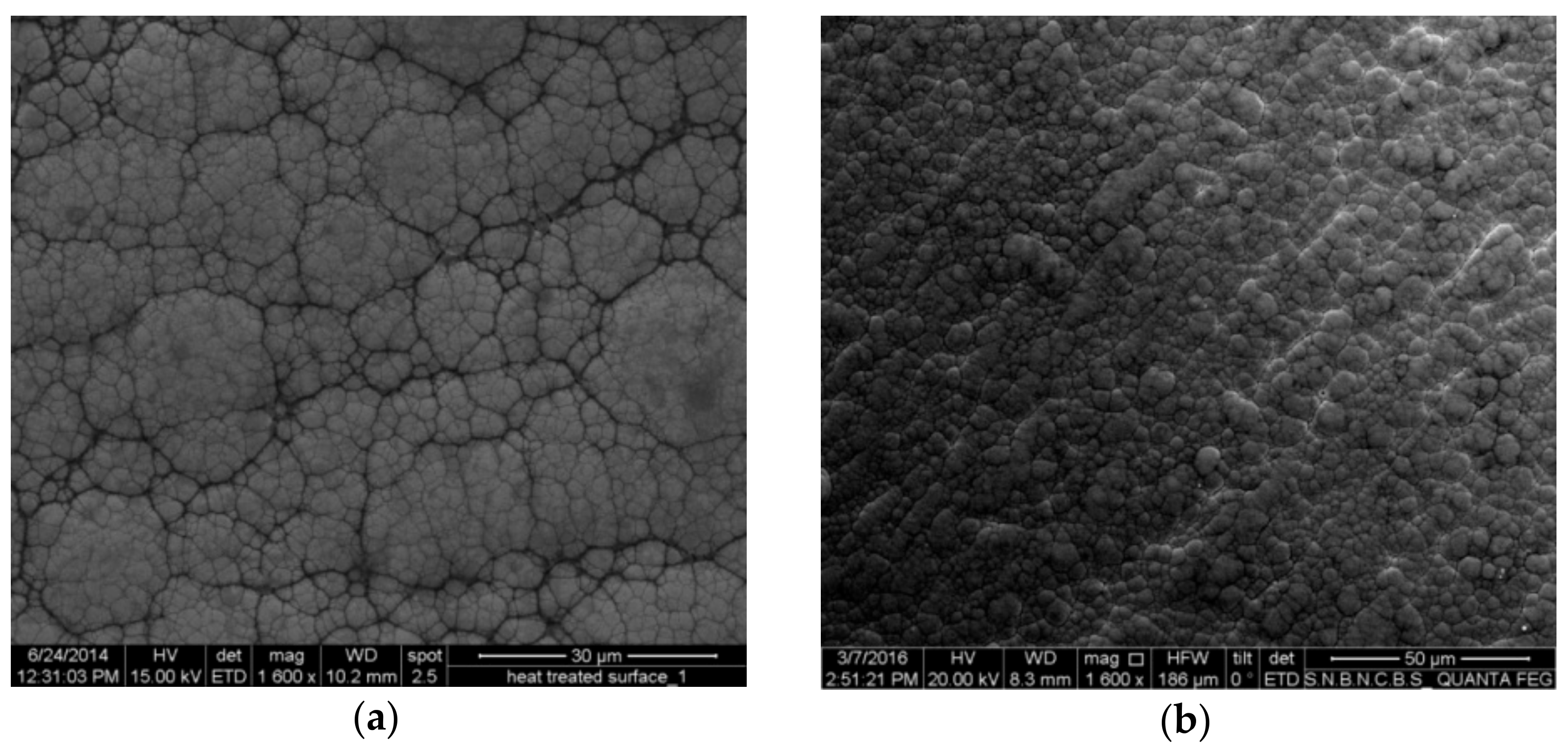 Lubricants 06 00067 g003