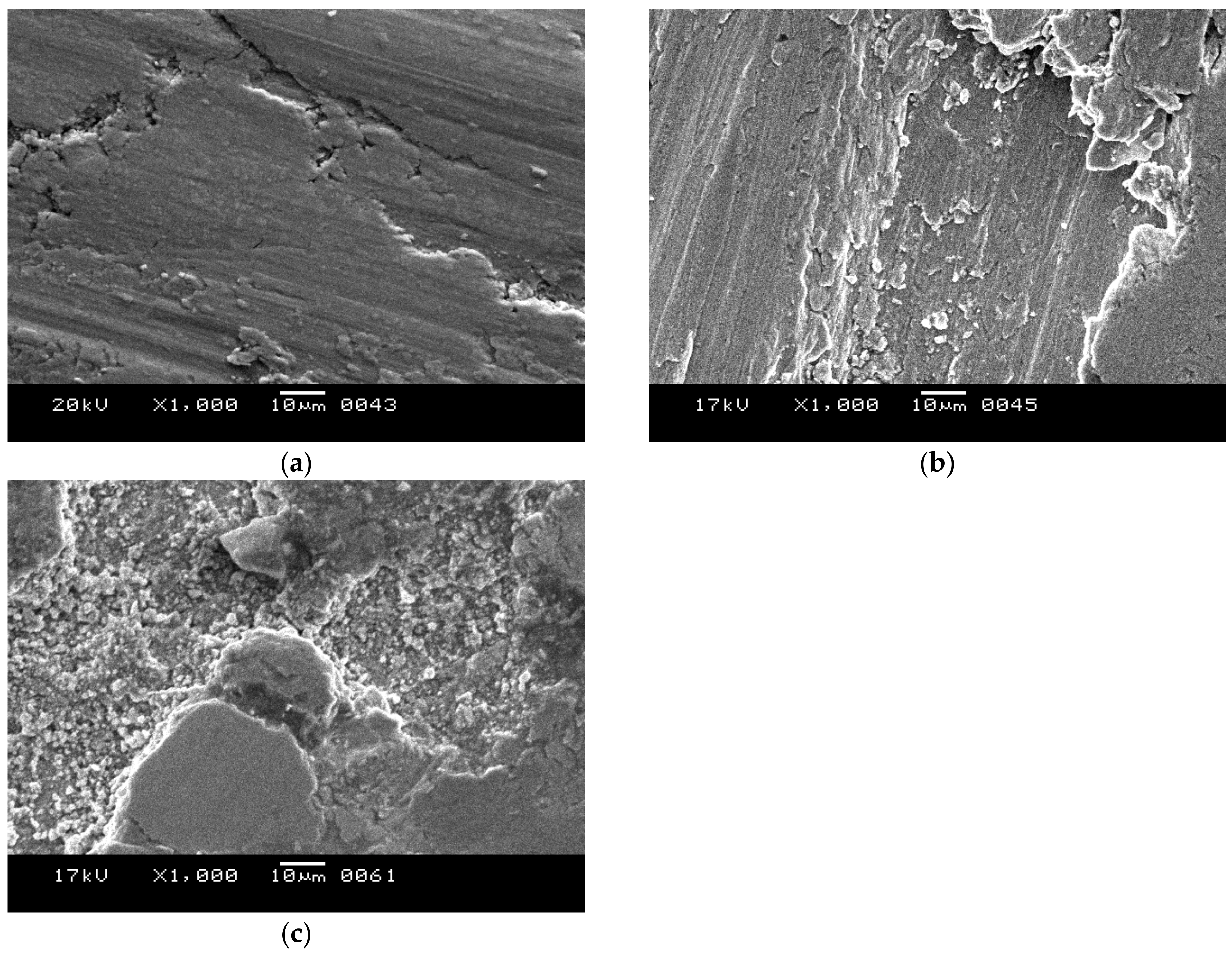 Lubricants 06 00067 g013