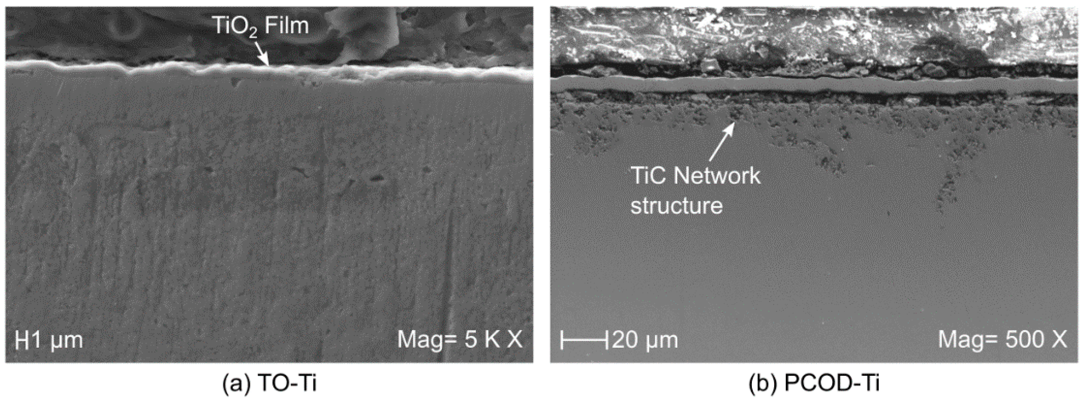 Lubricants 06 00086 g001