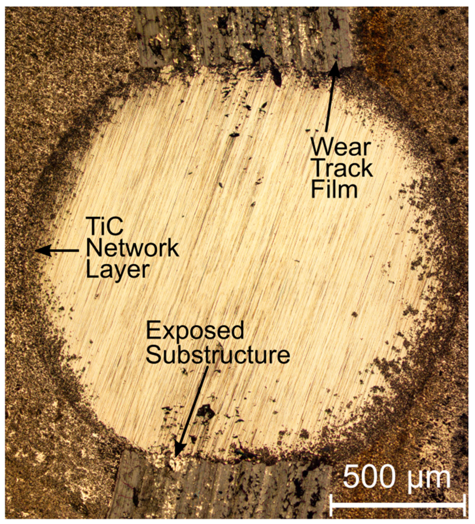 Lubricants 06 00086 g008