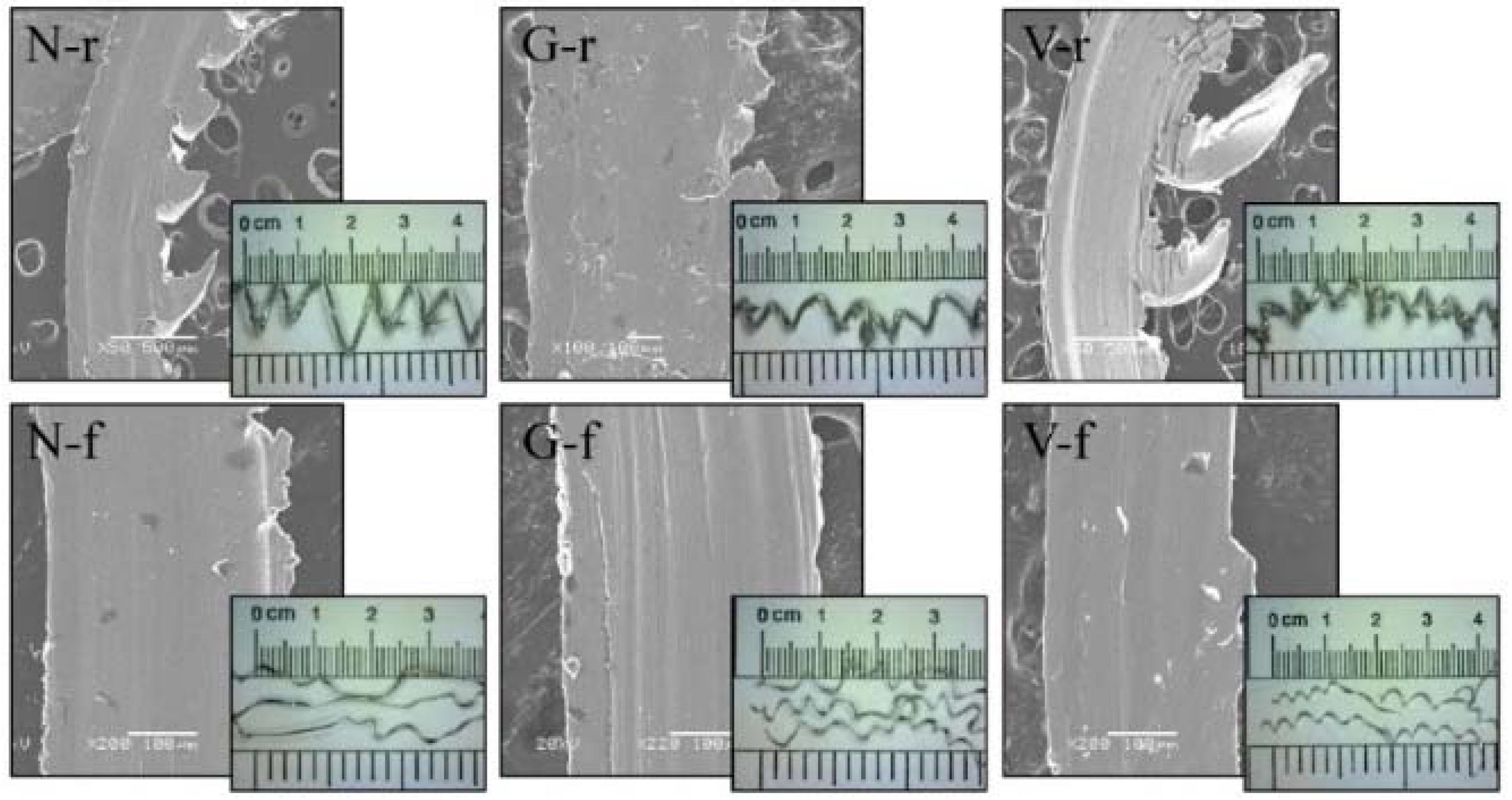 Lubricants 06 00098 g010