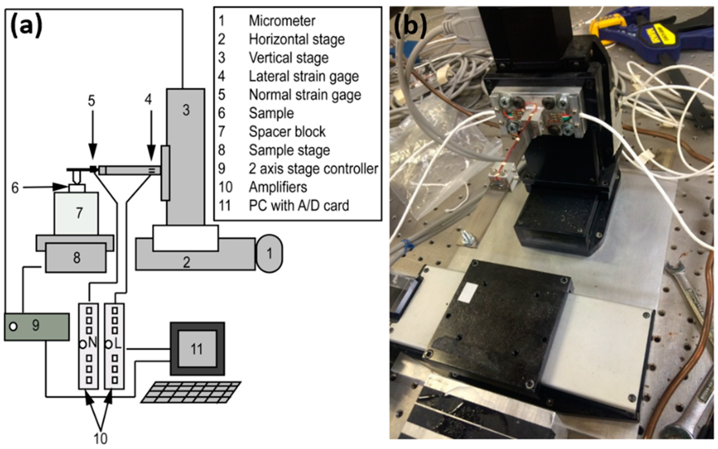Lubricants 06 00106 g002
