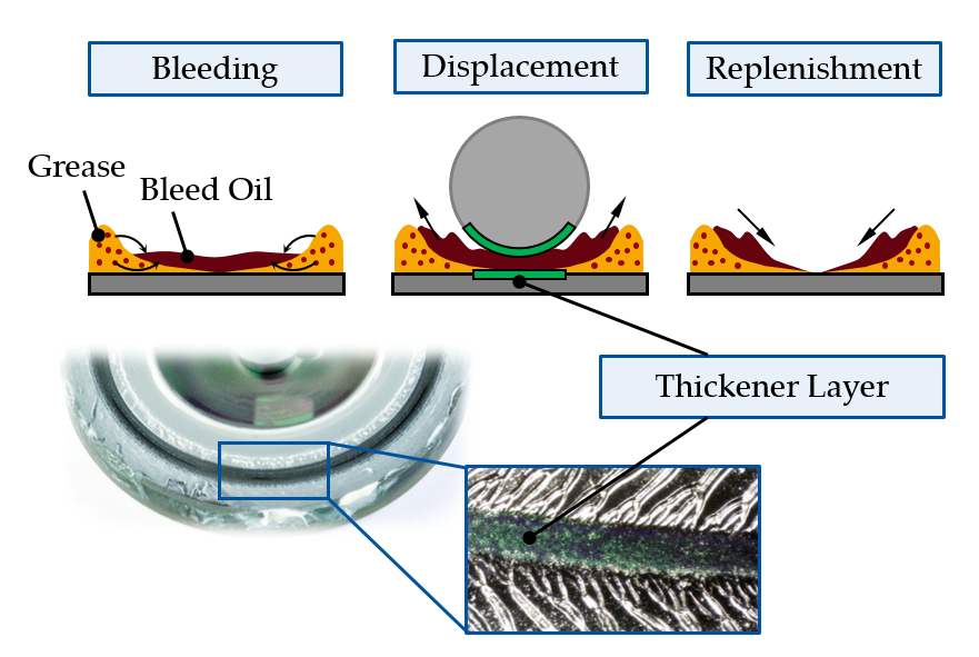 Lubricants Free FullText Effect of Over Rolling Frequency on the
