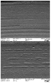 Lubricants 07 00060 i001