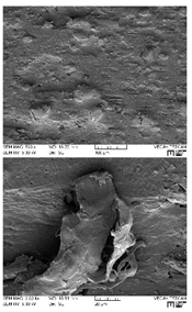 Lubricants 07 00060 i004