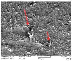 Lubricants 07 00060 i010