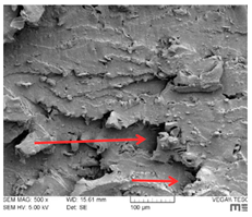 Lubricants 07 00060 i012