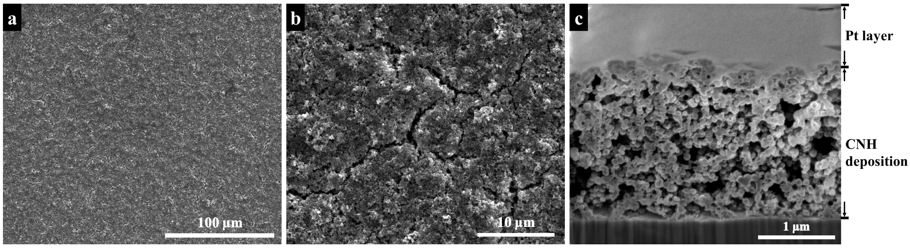 Lubricants 07 00062 g002