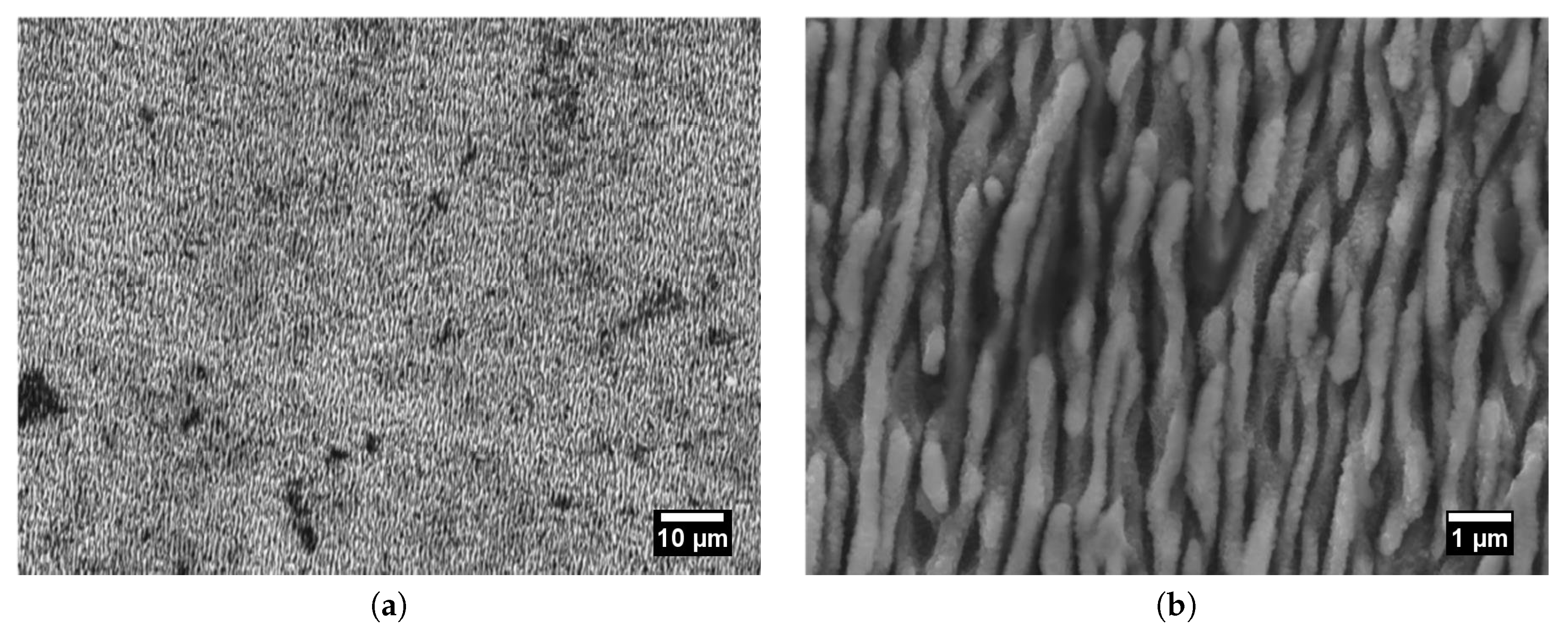 Lubricants 07 00070 g006