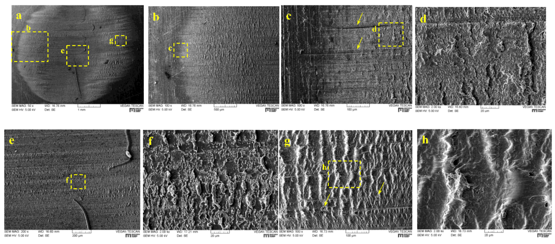 Lubricants 07 00073 g021