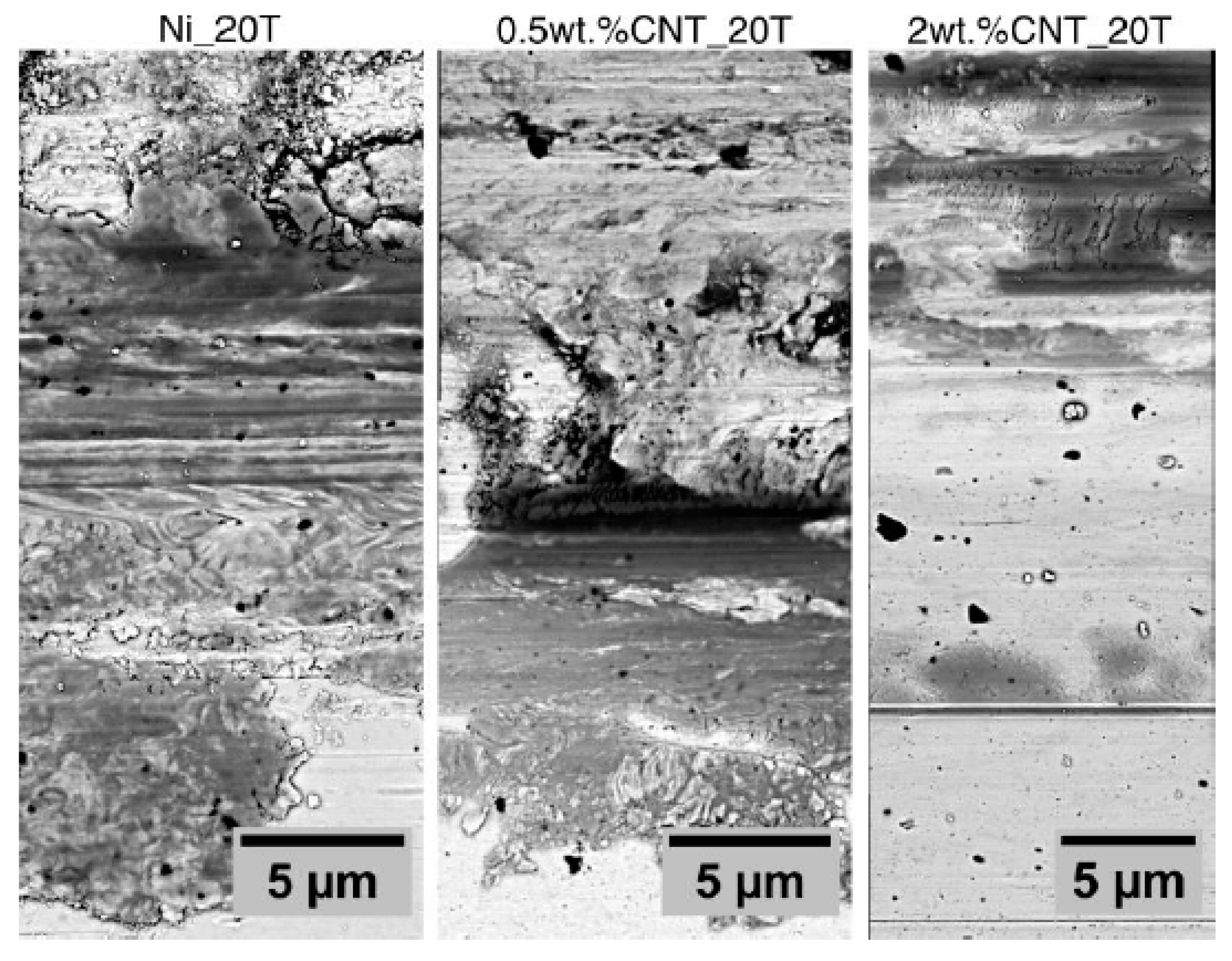 Lubricants 07 00075 g006