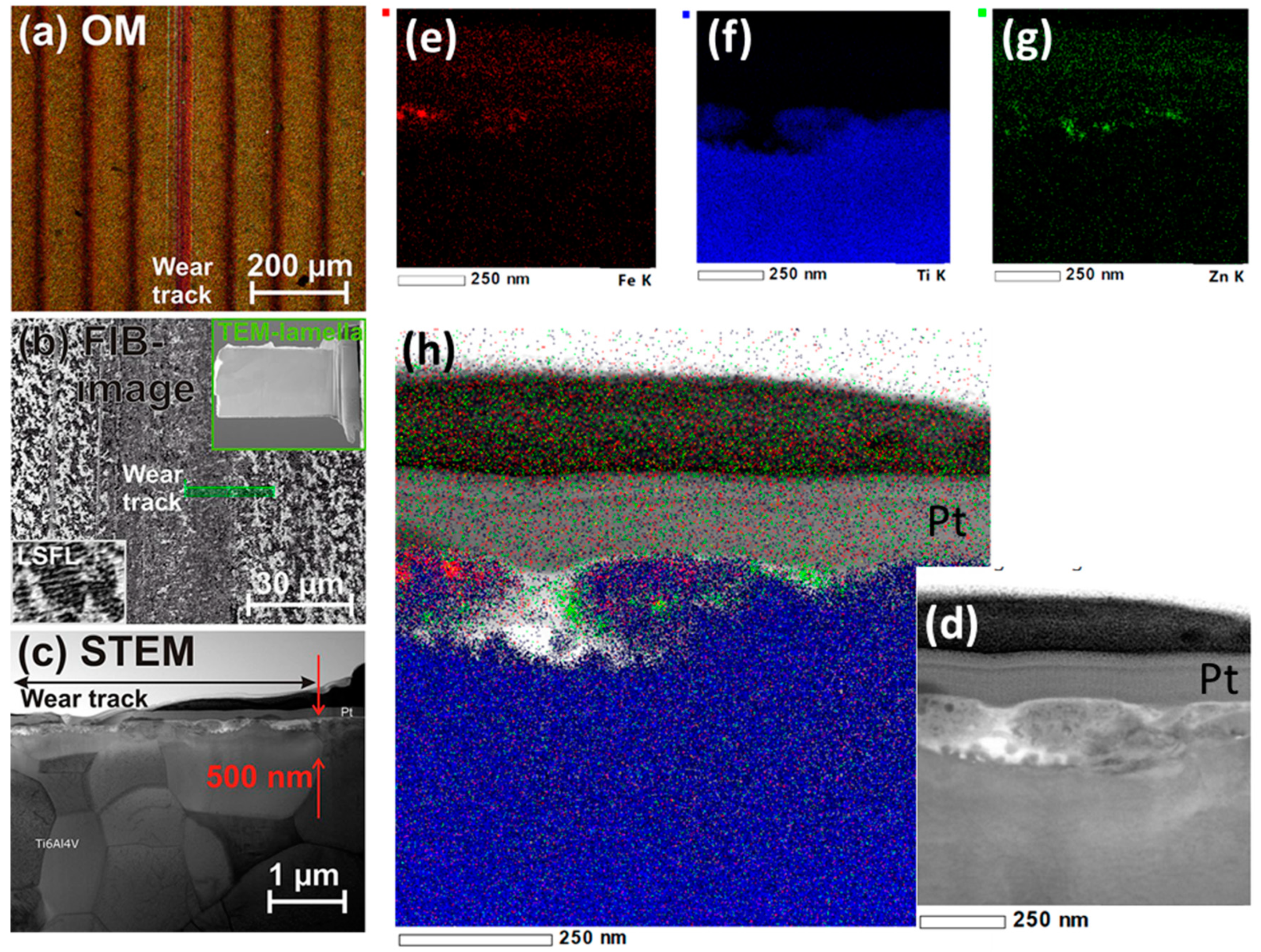 Lubricants 07 00079 g004 Lubricants 07 00079 g004