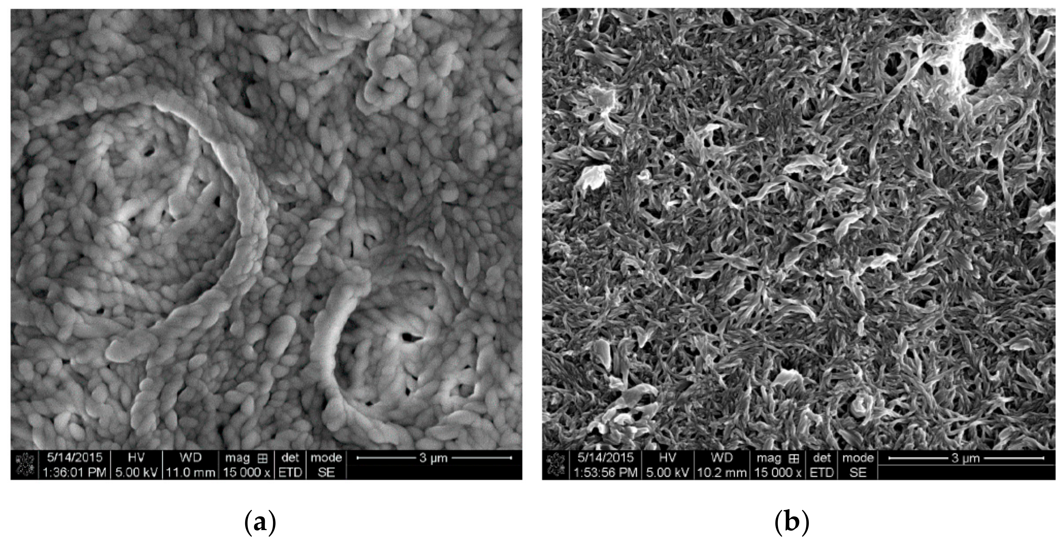 Lubricants 07 00082 g002 Lubricants 07 00082 g002