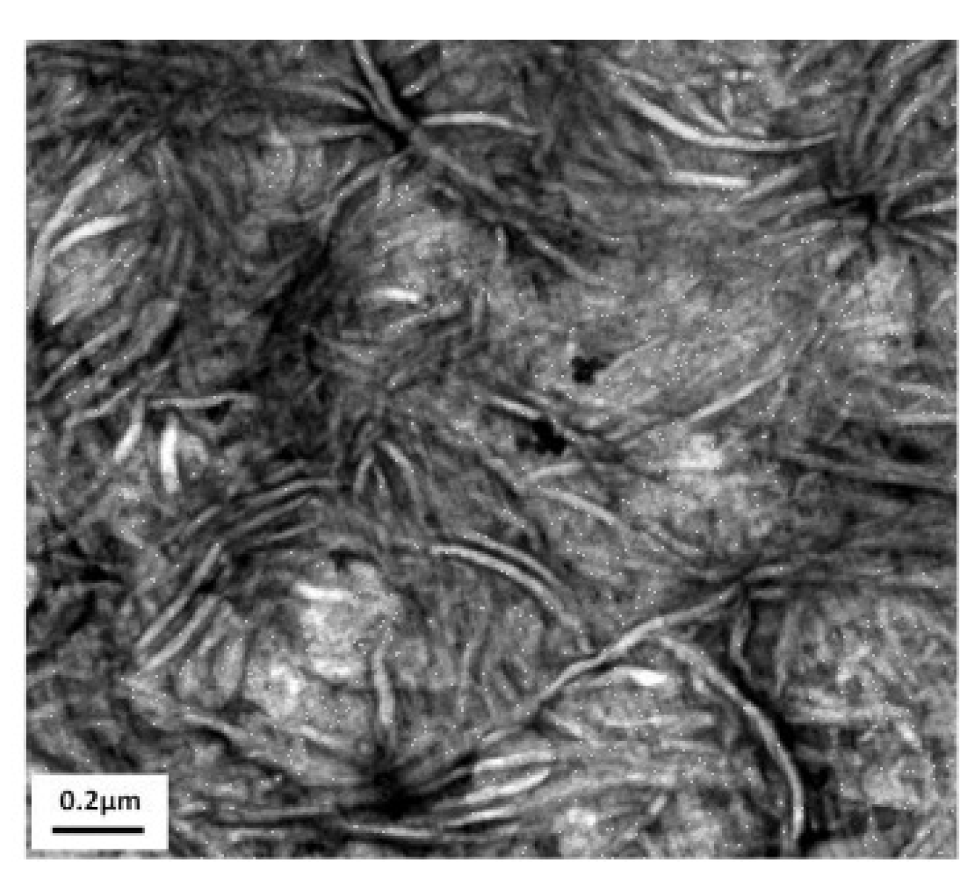 Lubricants 07 00090 g010 550