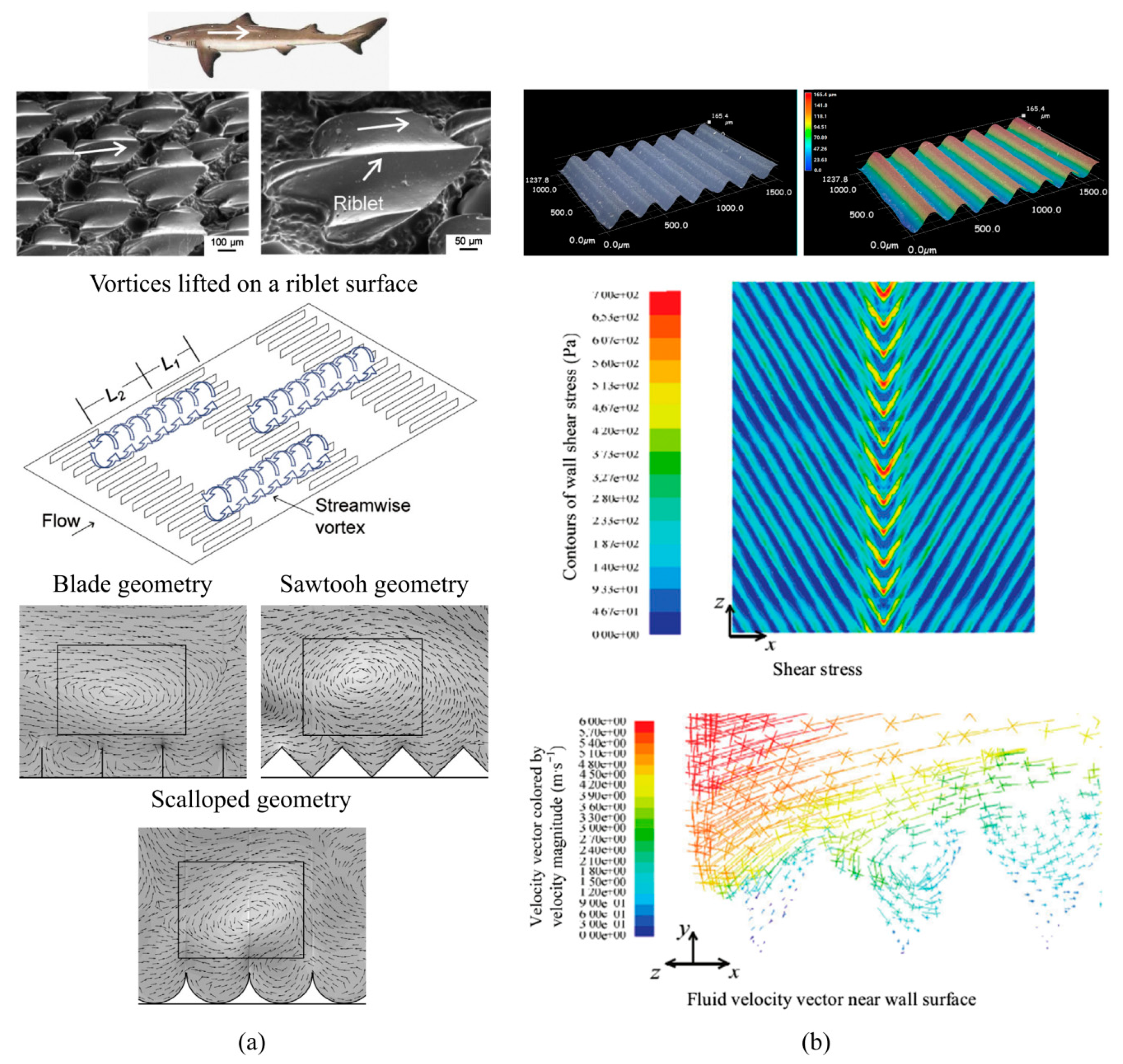 Lubricants 07 00095 g011