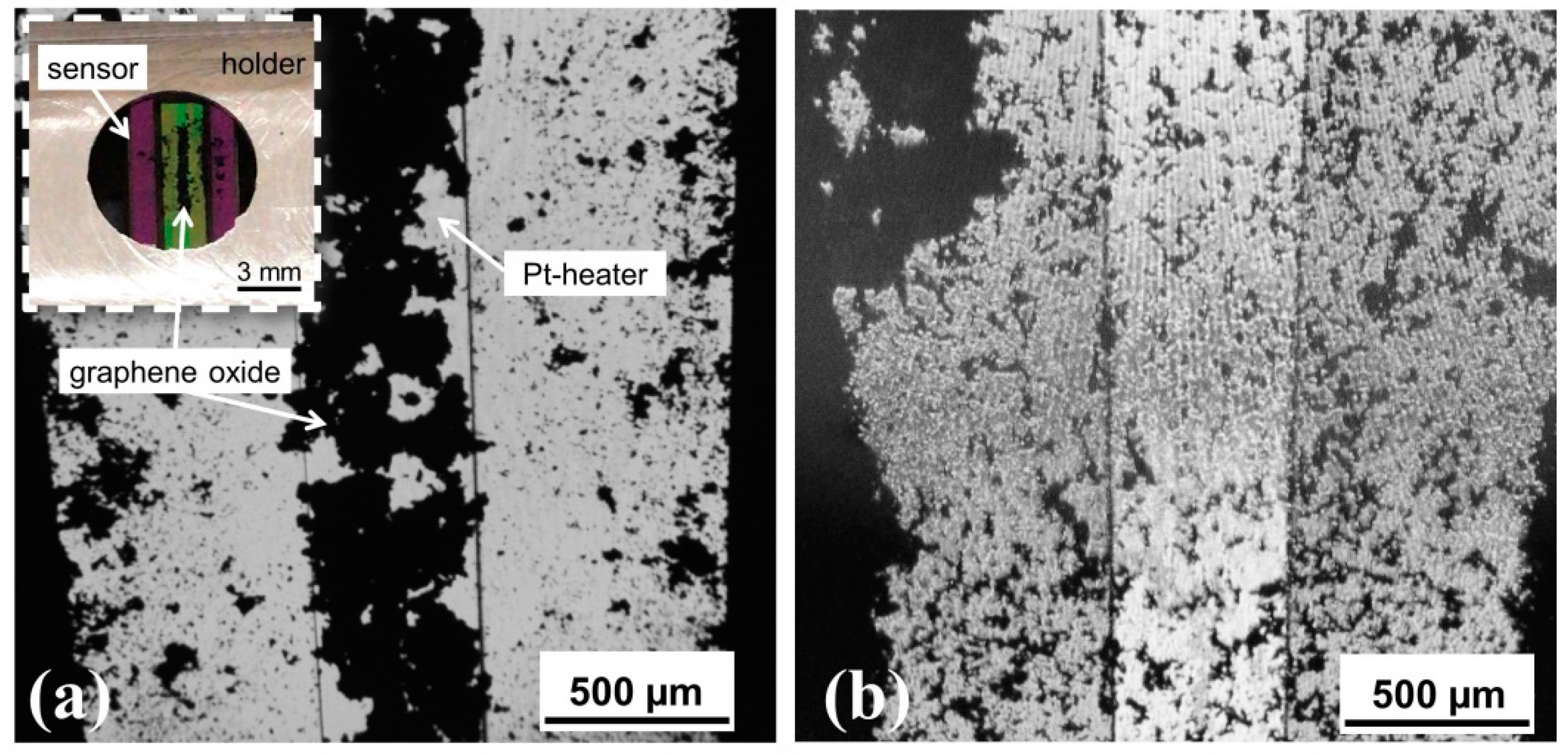 Lubricants 07 00096 g003