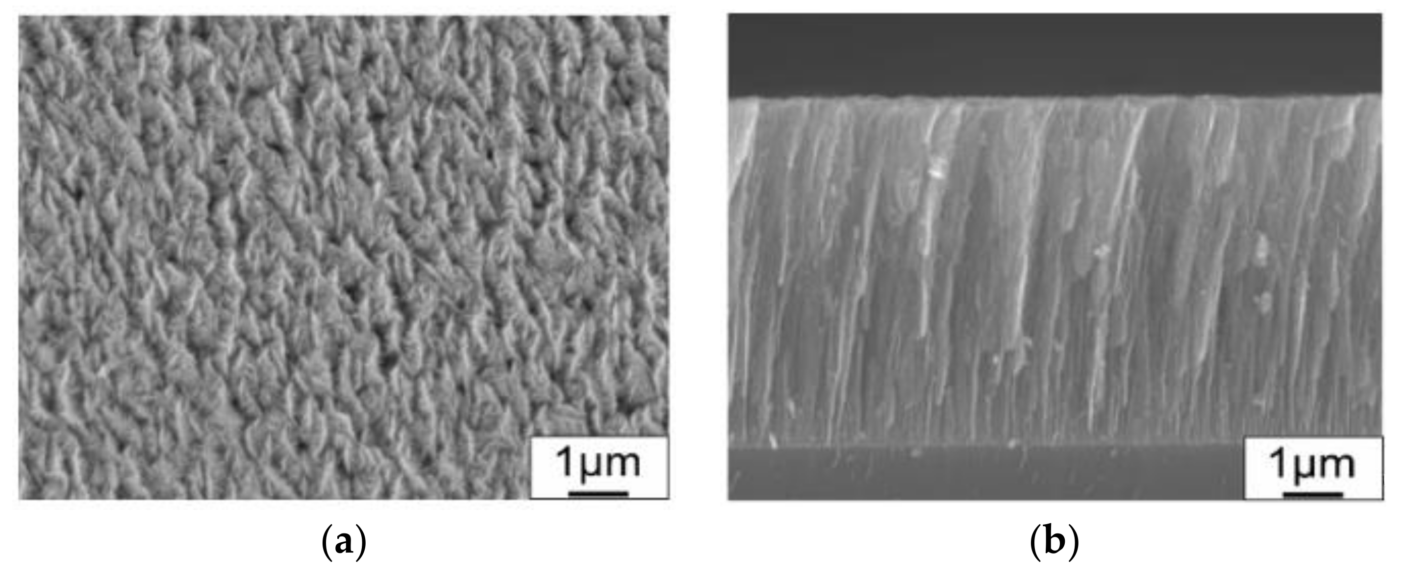 Lubricants 07 00100 g001 550