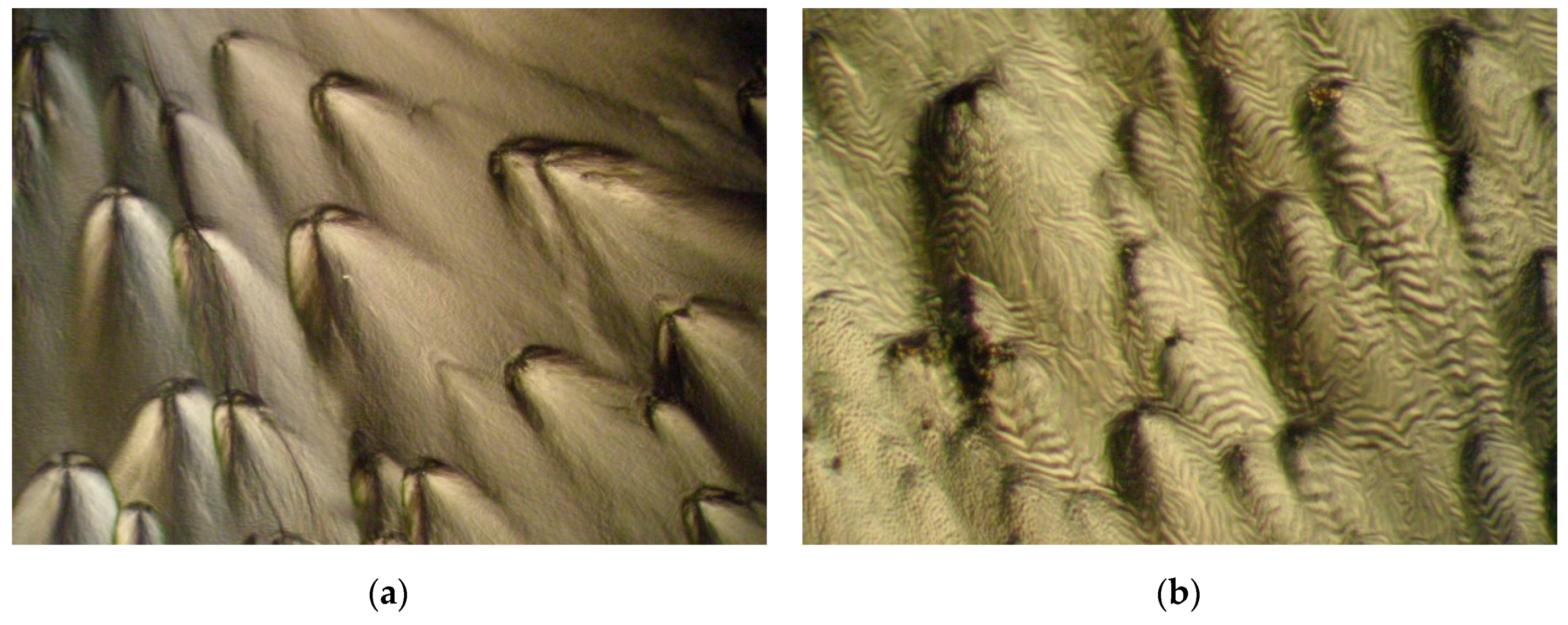 Lubricants 07 00111 g007 Lubricants 07 00111 g007