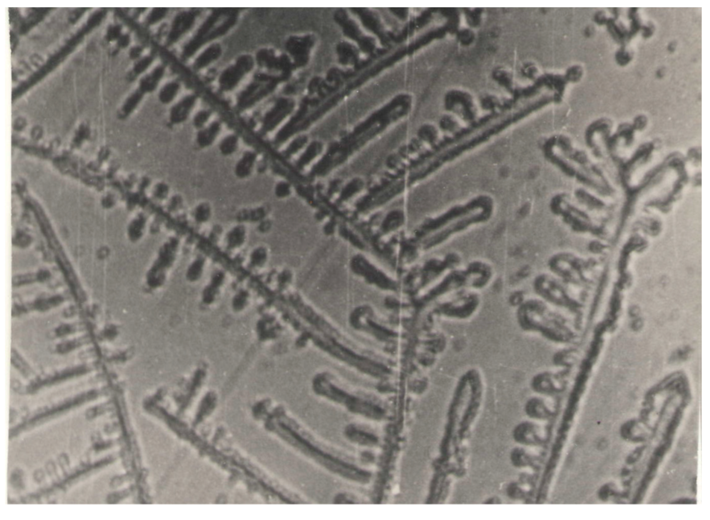 Lubricants 07 00111 g014 Lubricants 07 00111 g014