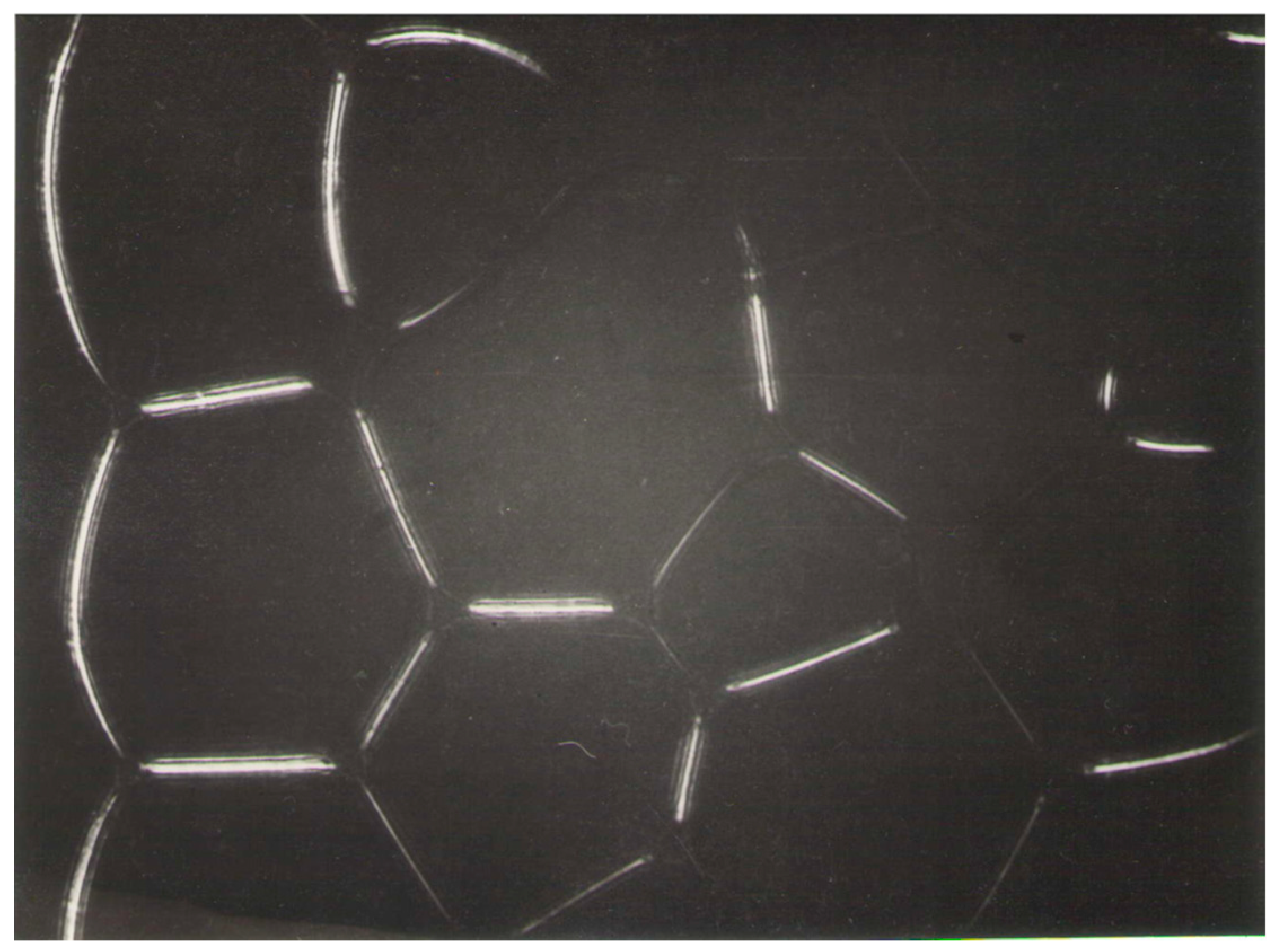 Lubricants 07 00111 g015 Lubricants 07 00111 g015