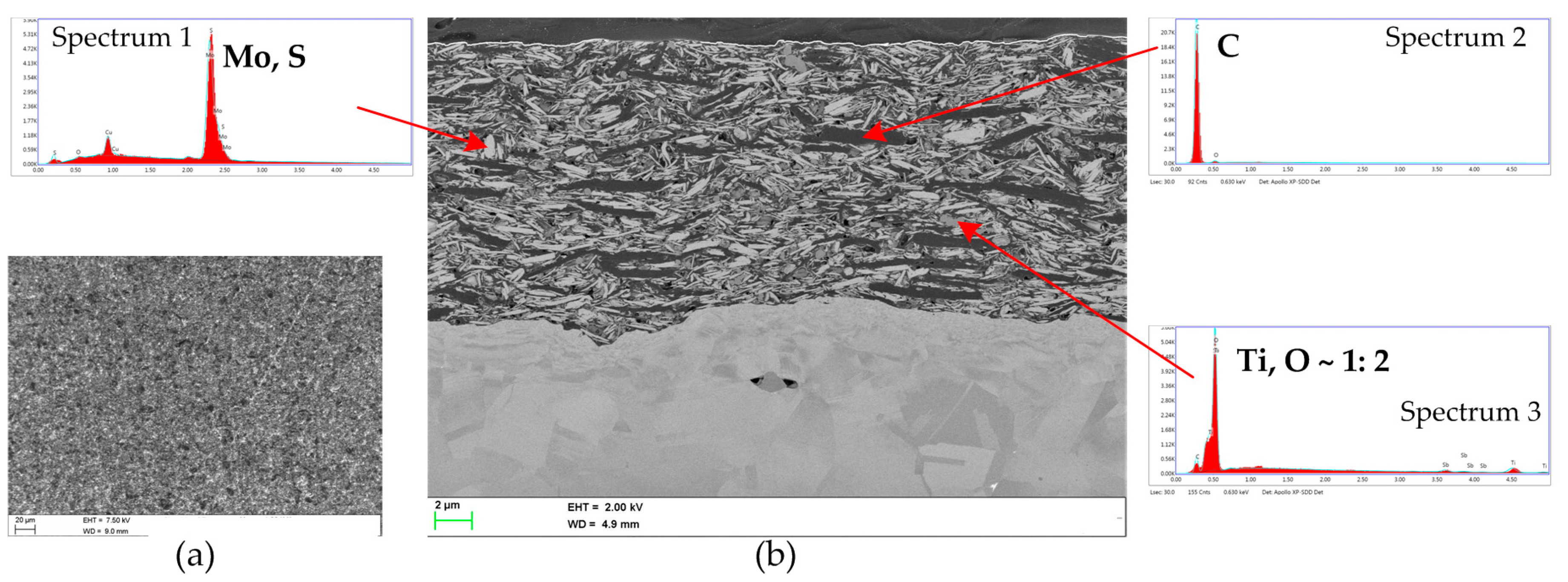 Lubricants 08 00001 g002