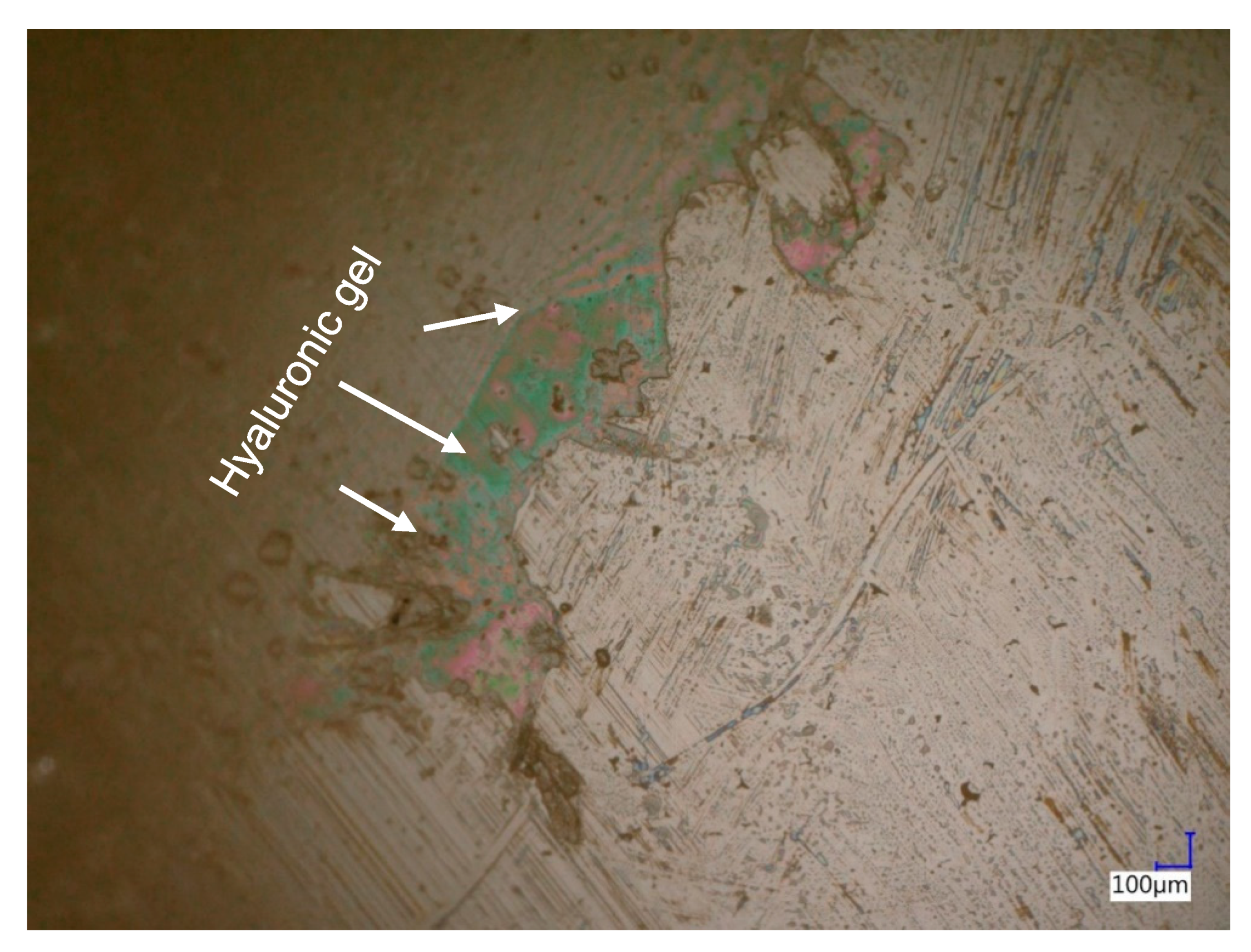 Lubricants 08 00035 g027 Lubricants 08 00035 g027