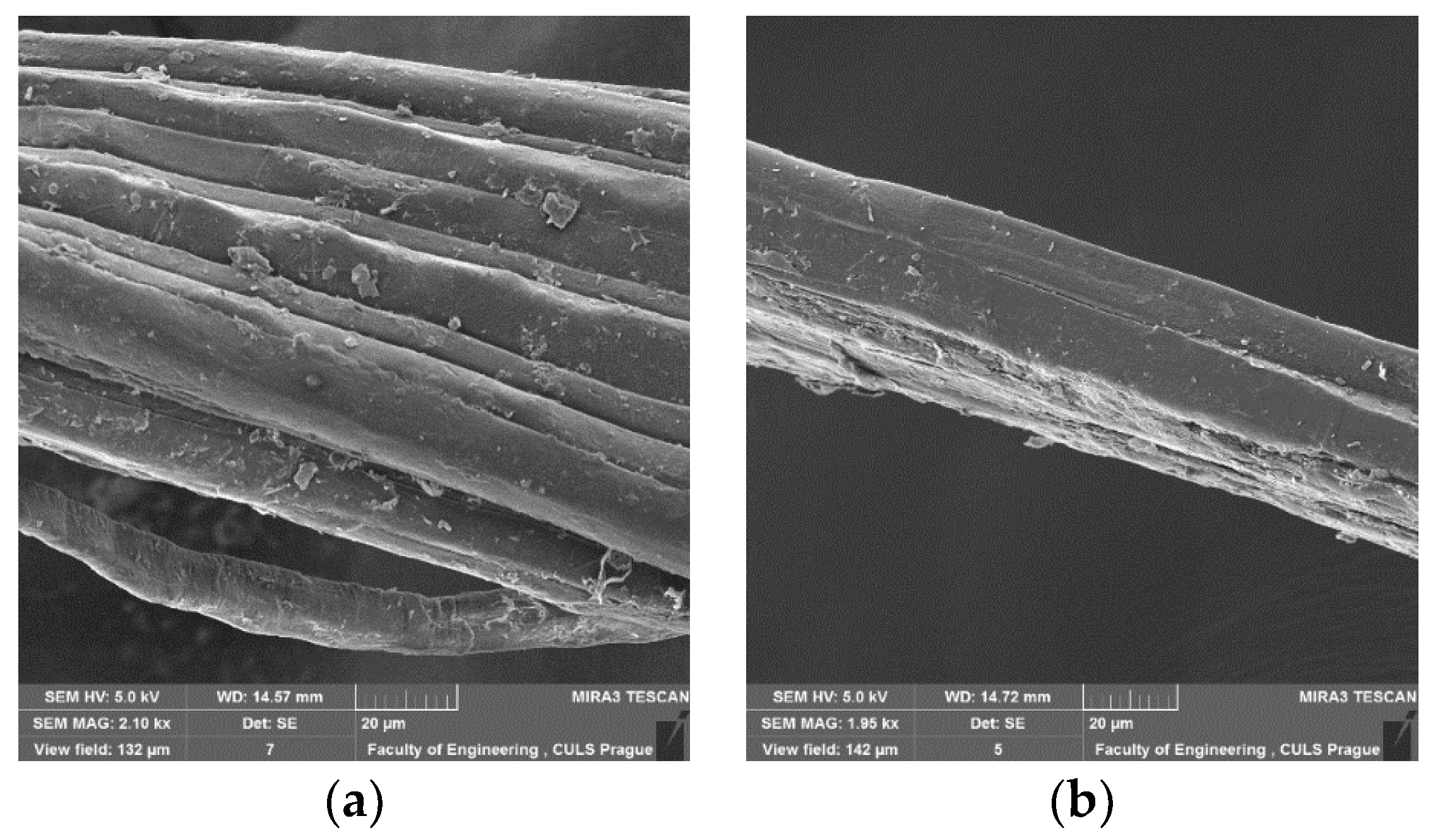 Lubricants 08 00042 g004