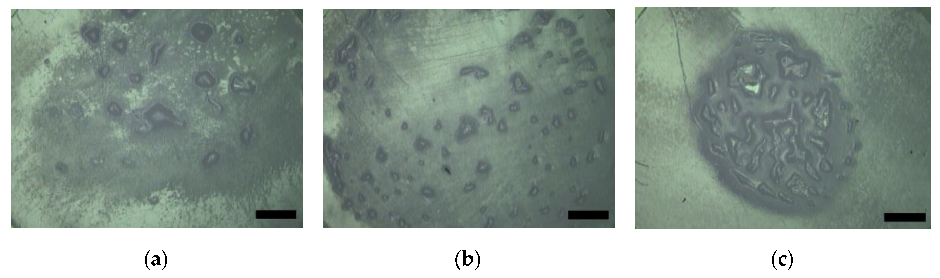 Lubricants 08 00053 g002