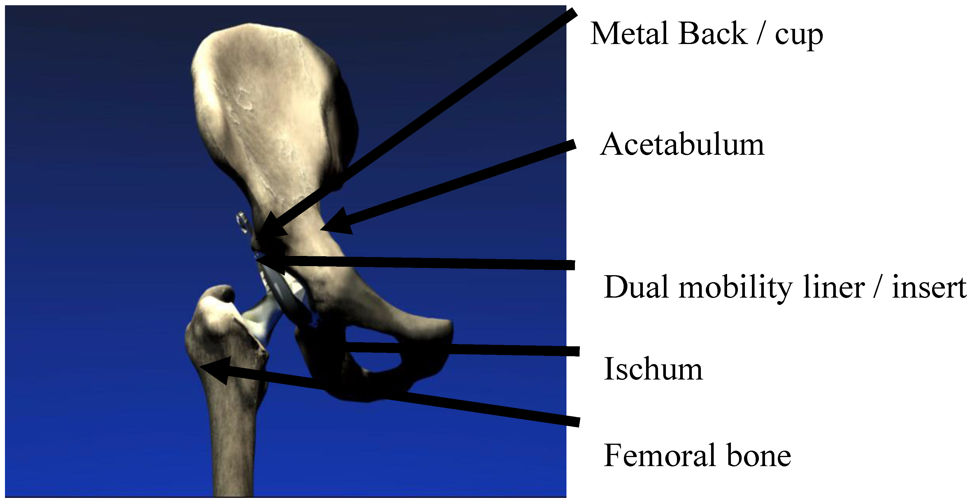 Lubricants 08 00055 g001 Lubricants 08 00055 g001