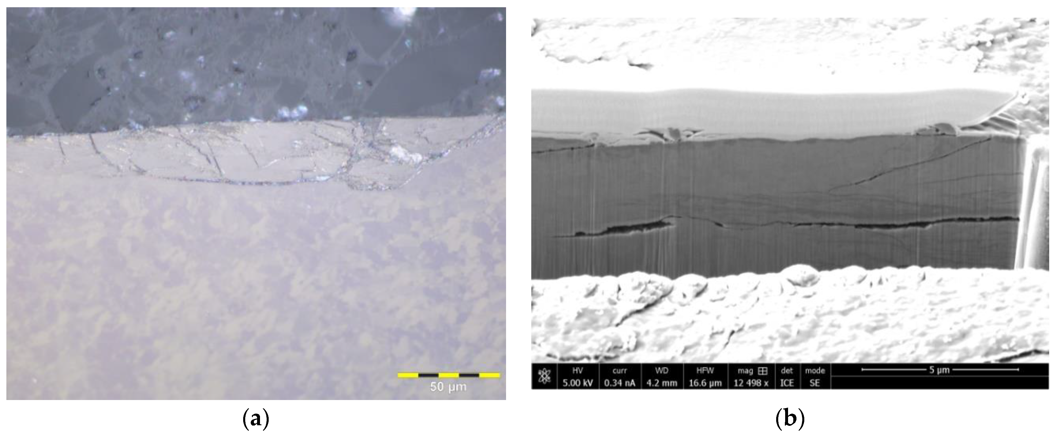 Lubricants 08 00055 g005 Lubricants 08 00055 g005