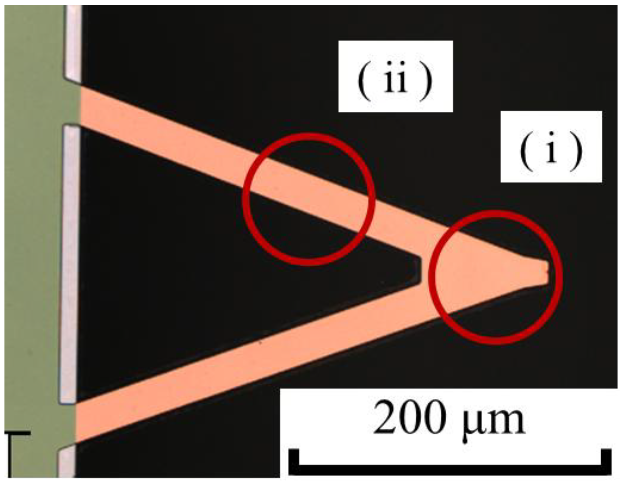 Lubricants 08 00066 g009 Lubricants 08 00066 g009