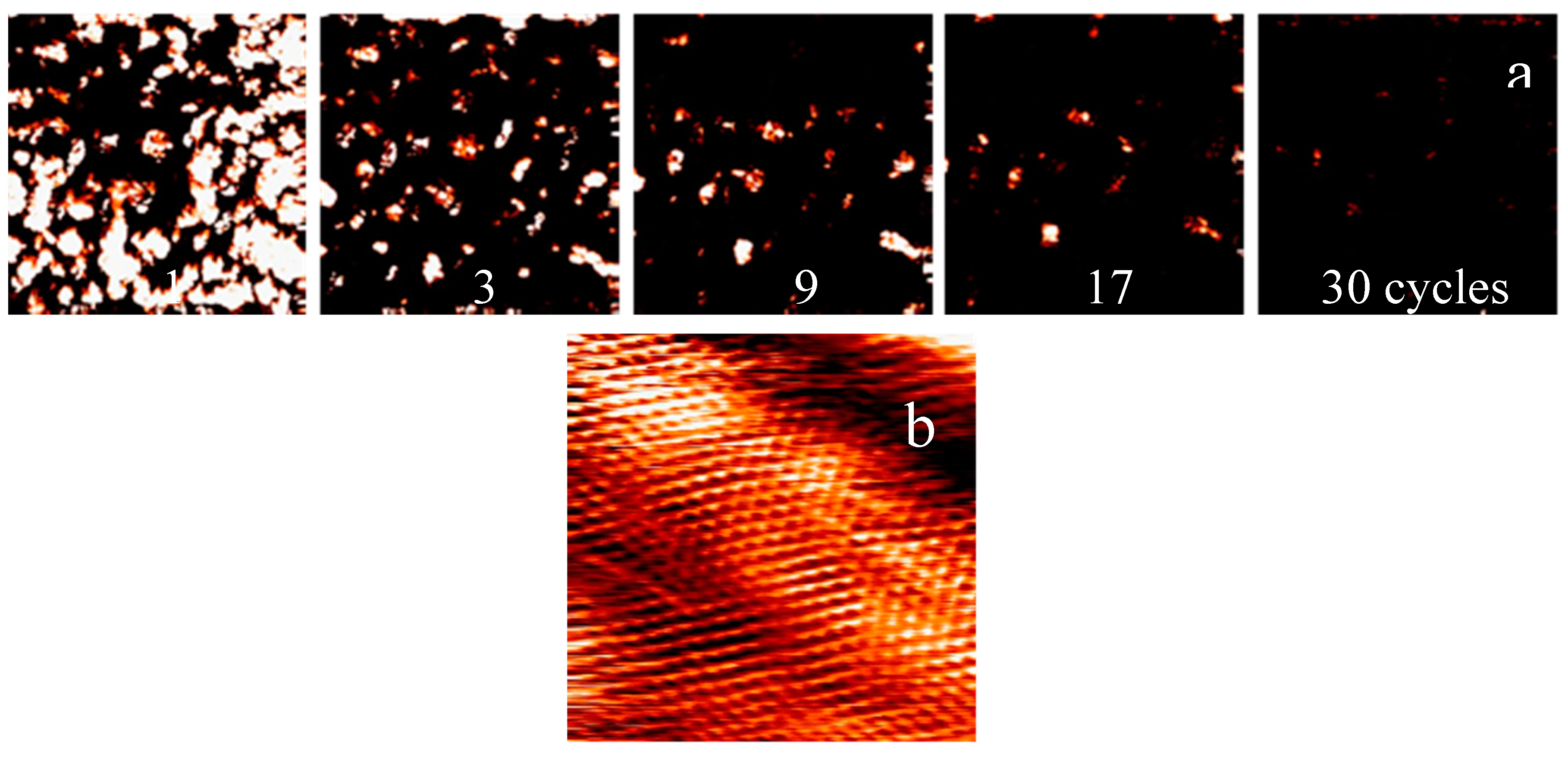 Lubricants 08 00074 g006 Lubricants 08 00074 g006