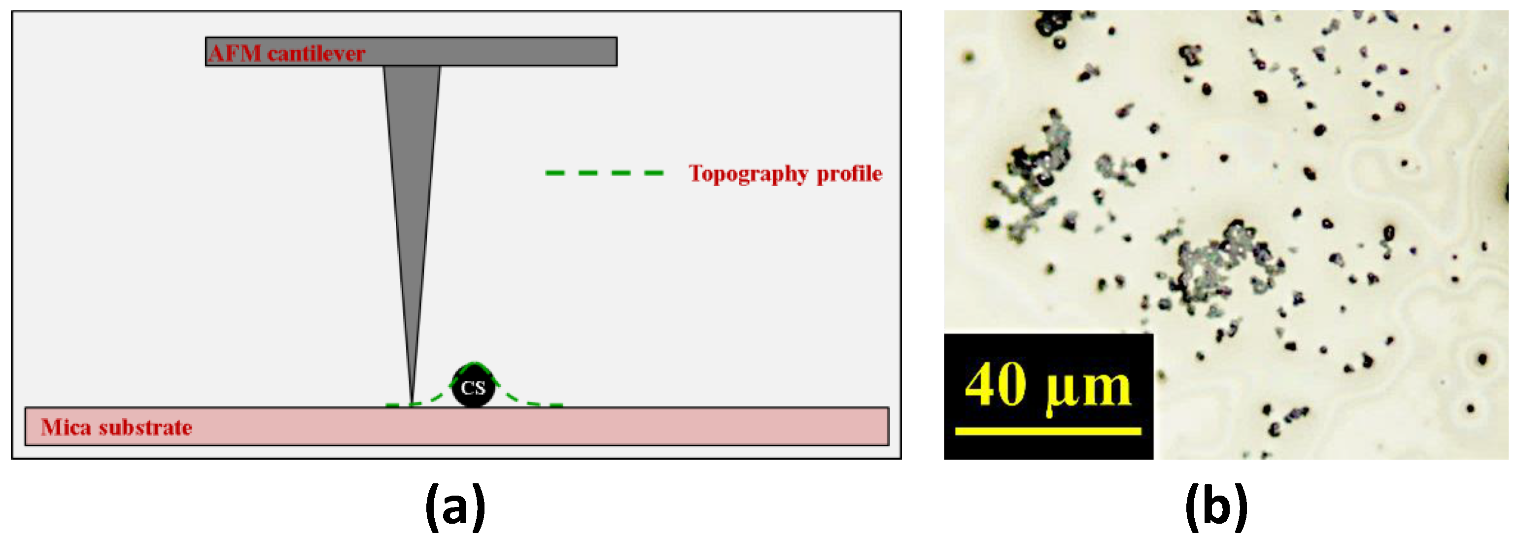 Lubricants 08 00077 g006
