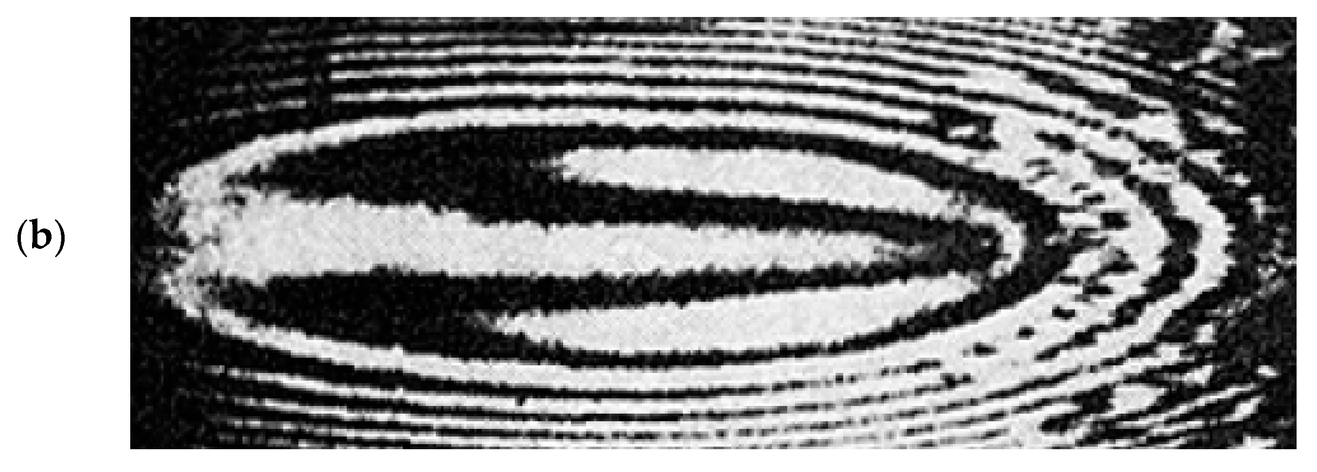 Lubricants 08 00081 g007b