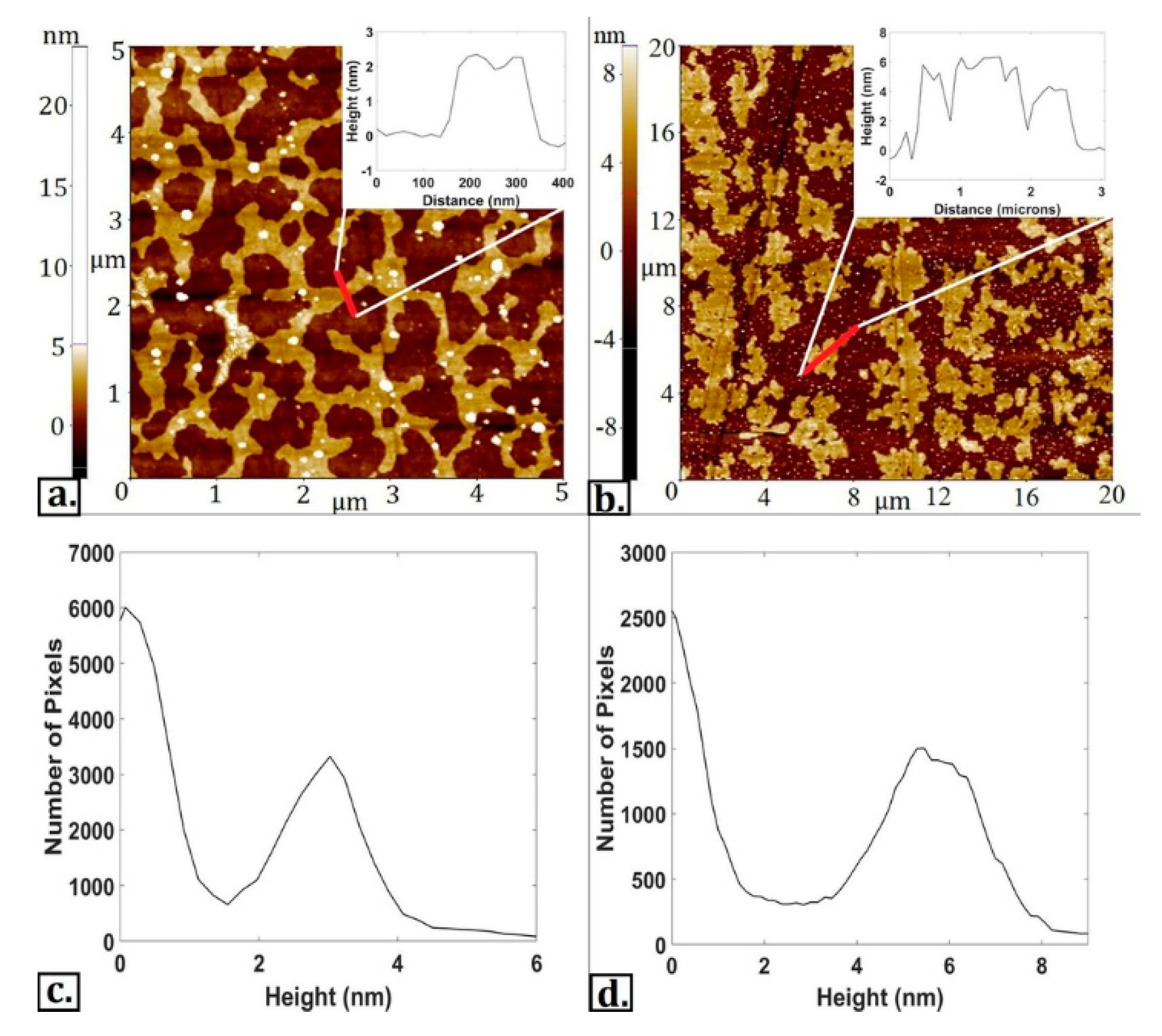 Lubricants 08 00087 g007 Lubricants 08 00087 g007