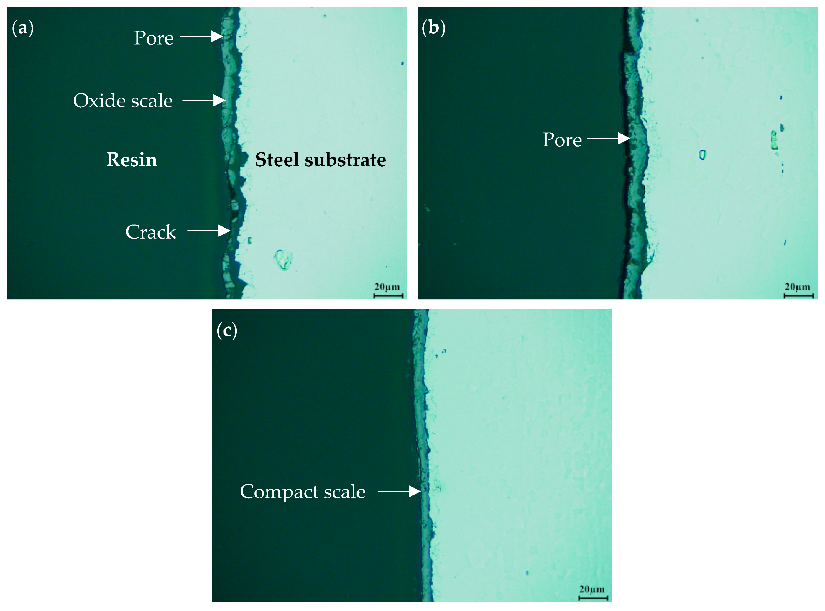 Lubricants 08 00096 g007