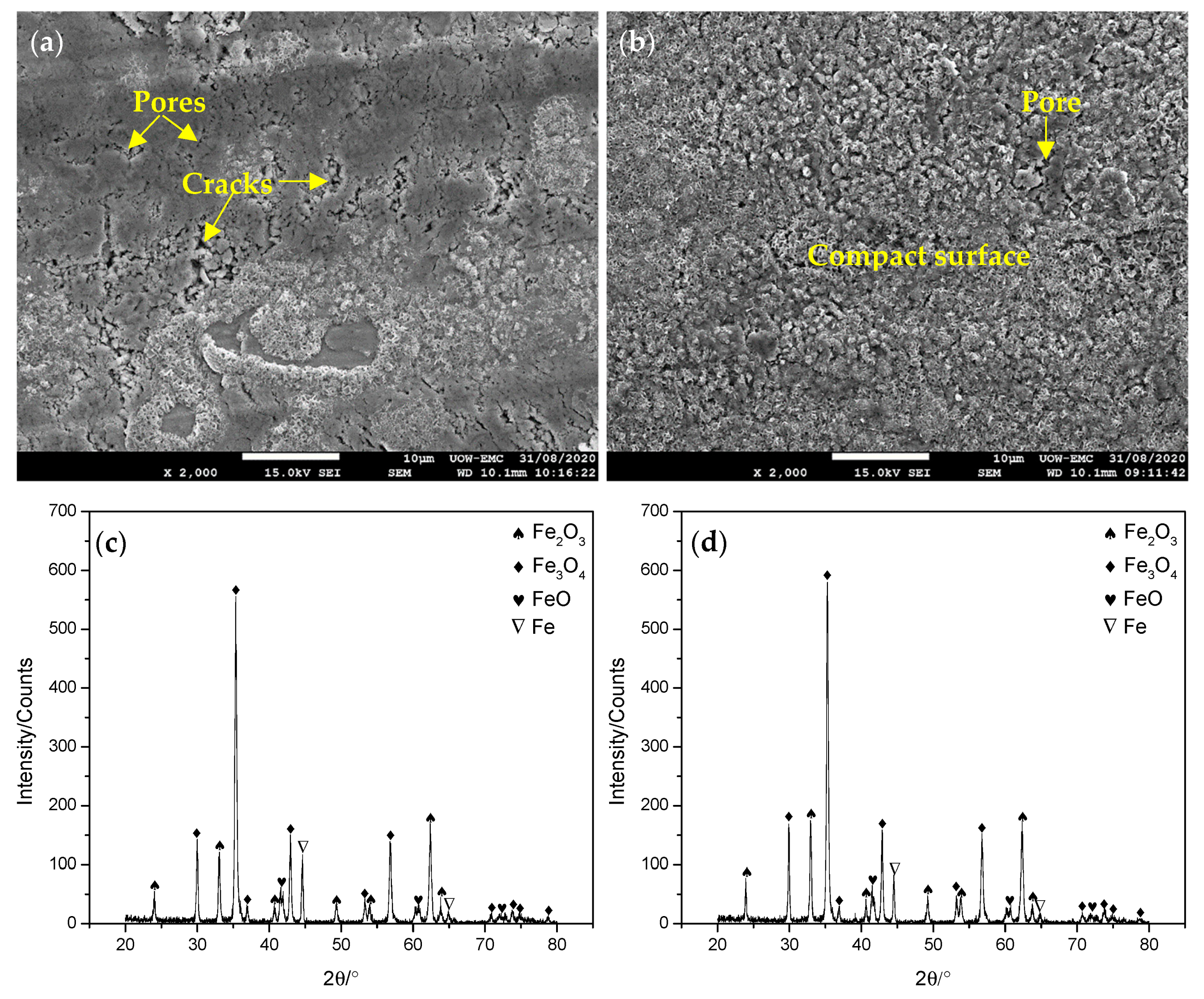 Lubricants 08 00096 g010