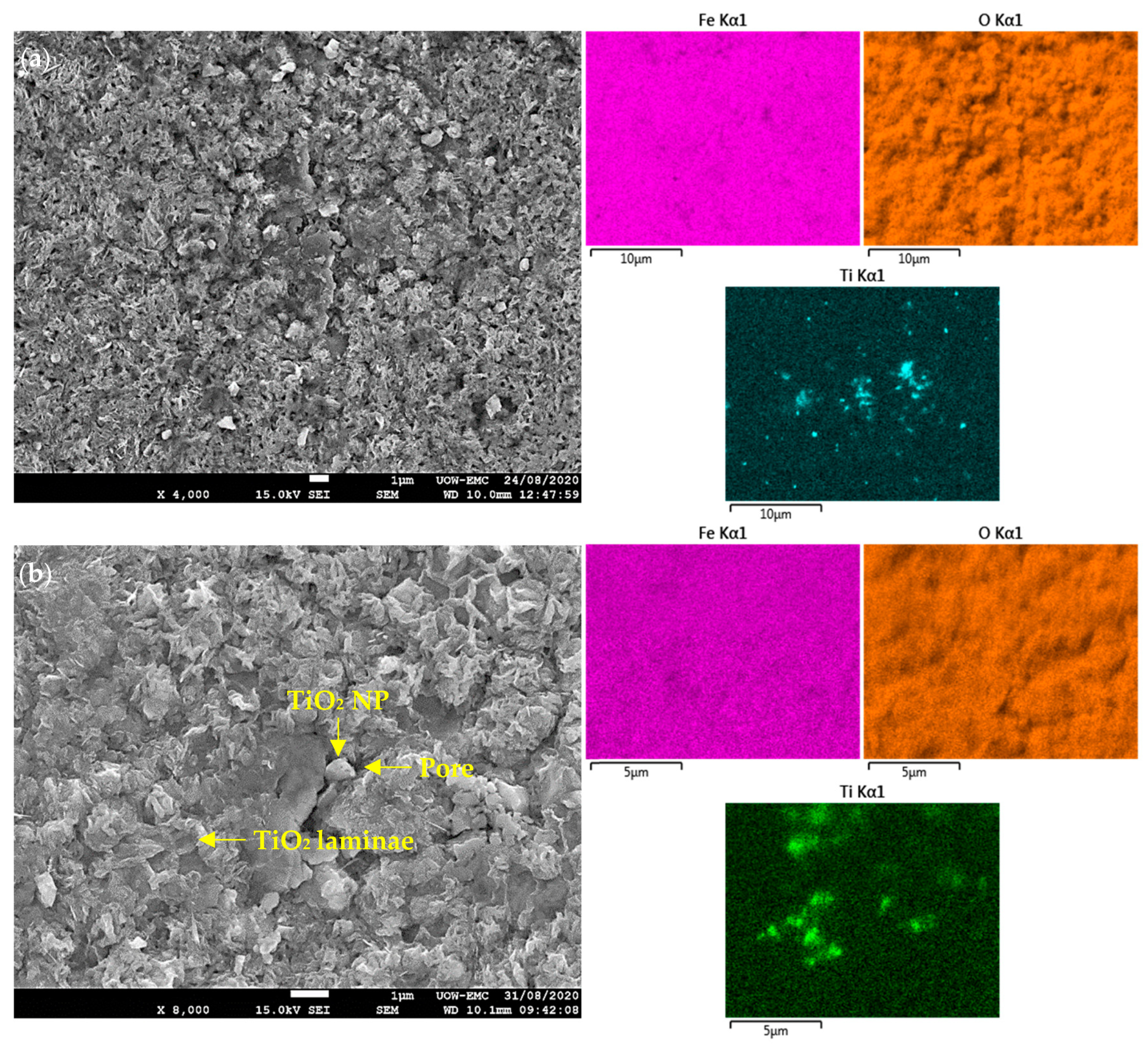 Lubricants 08 00096 g011