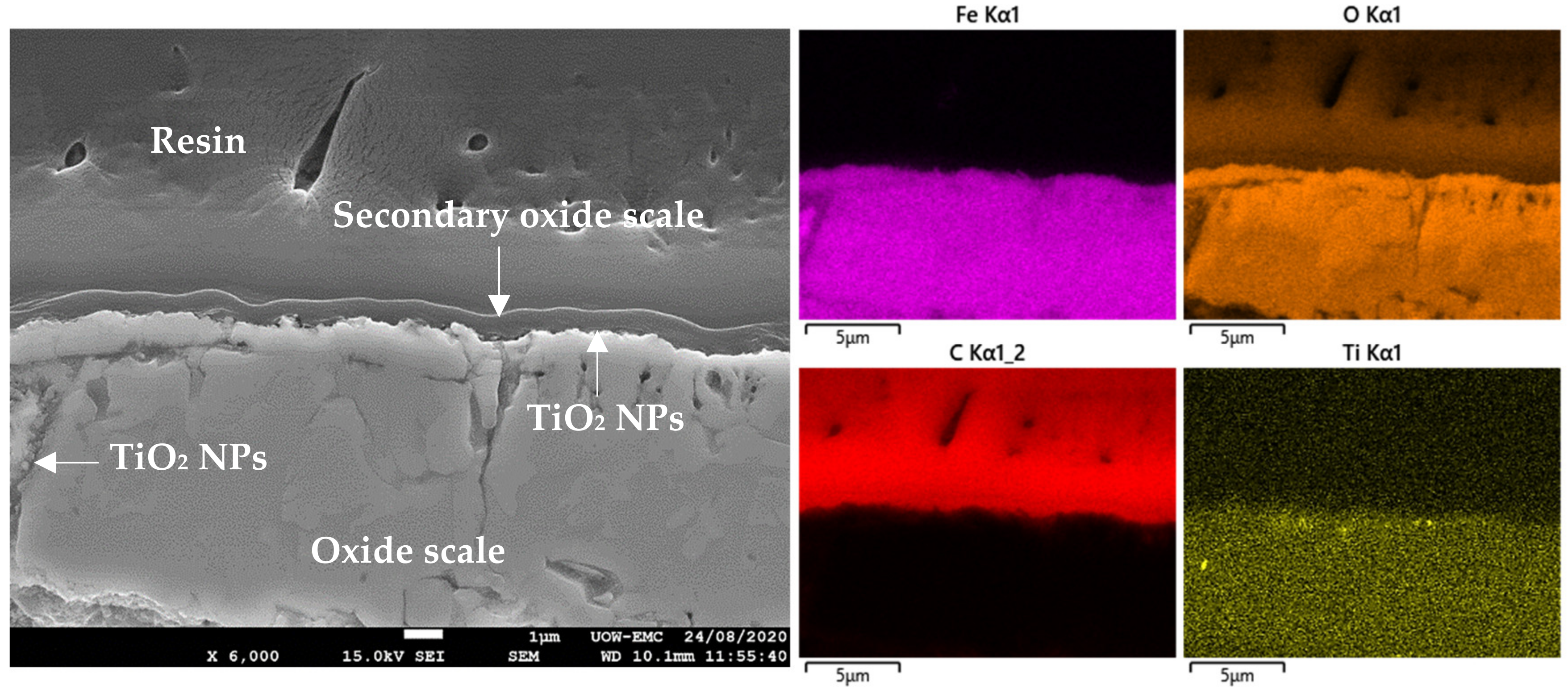 Lubricants 08 00096 g012