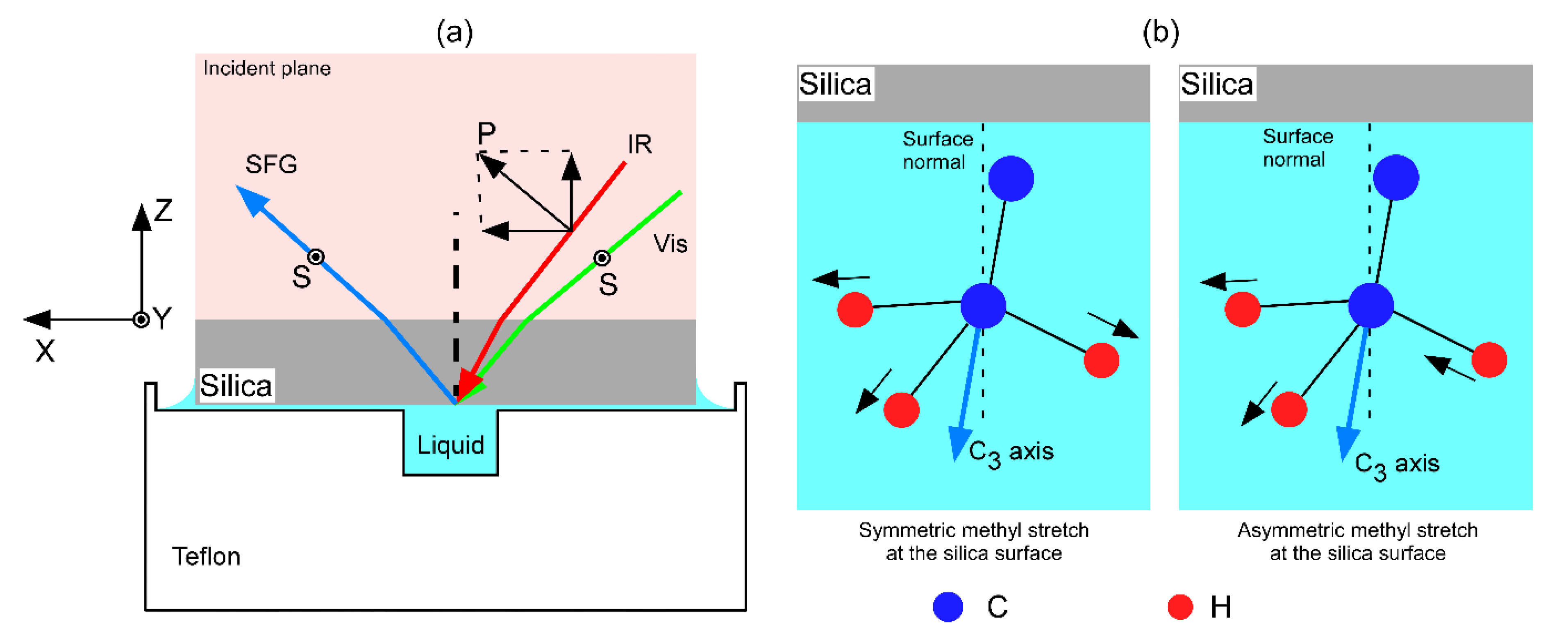 Lubricants 08 00098 g002