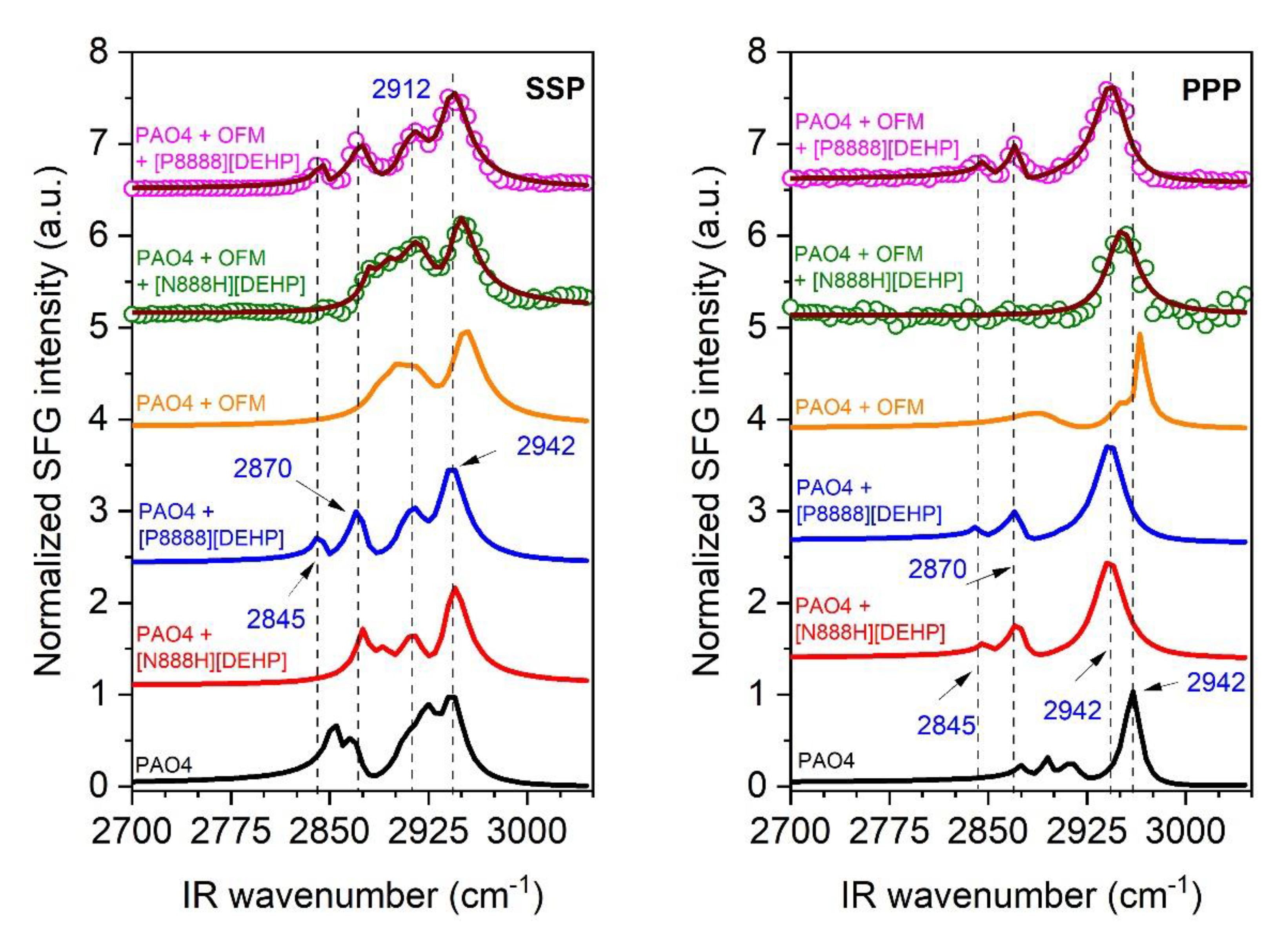 Lubricants 08 00098 g007