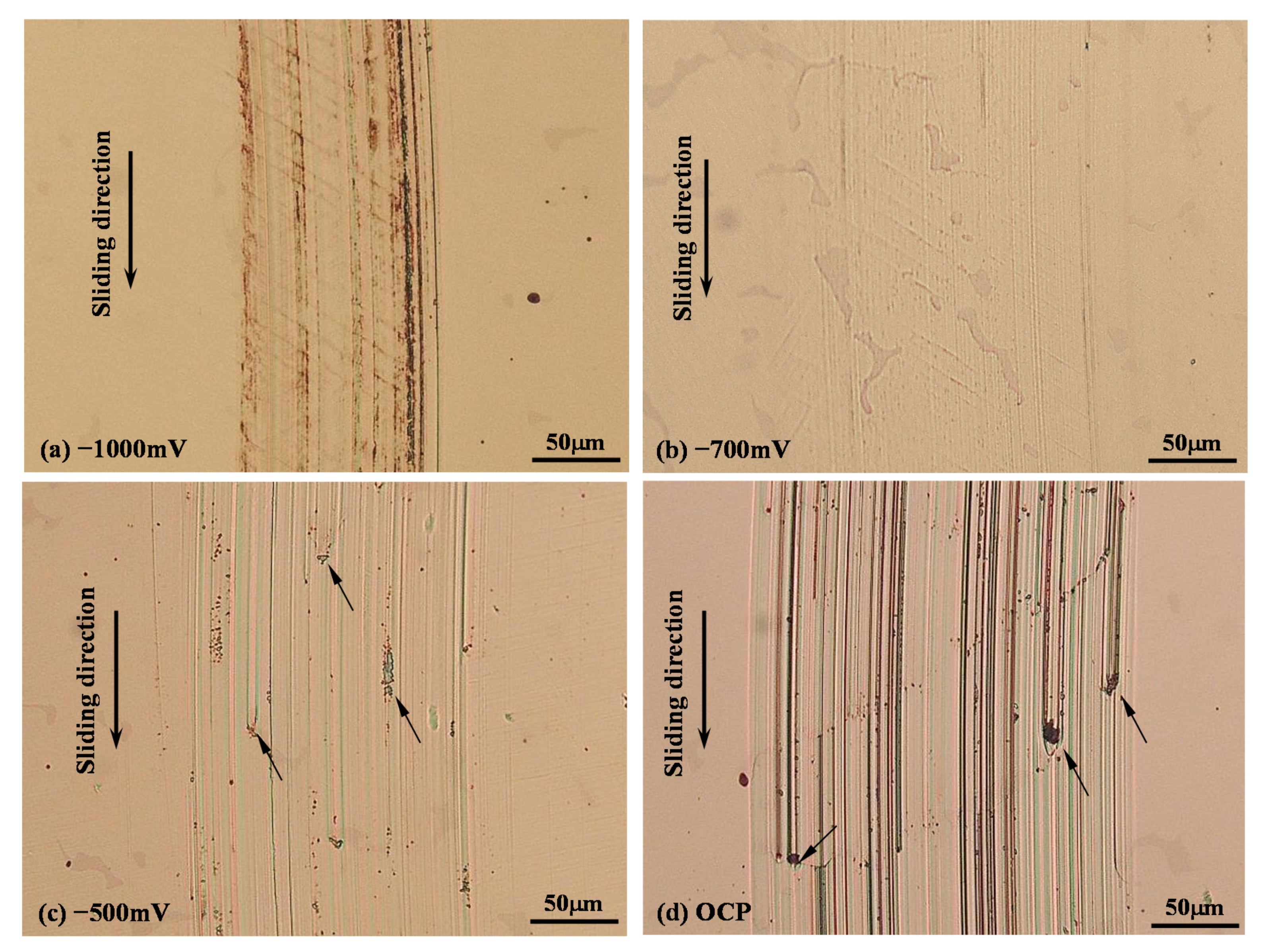 Lubricants 08 00101 g007