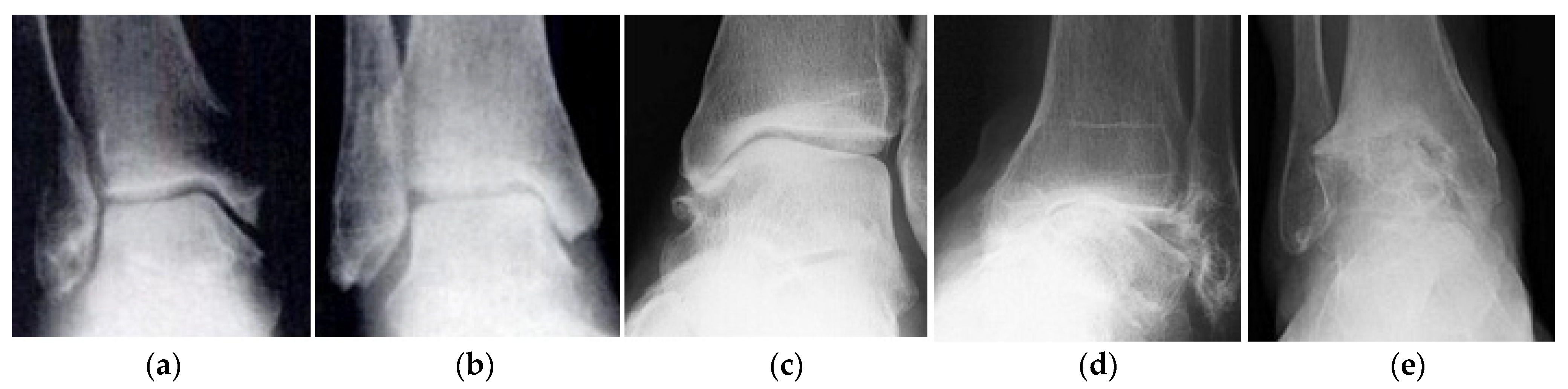 Lubricants 09 00015 g001