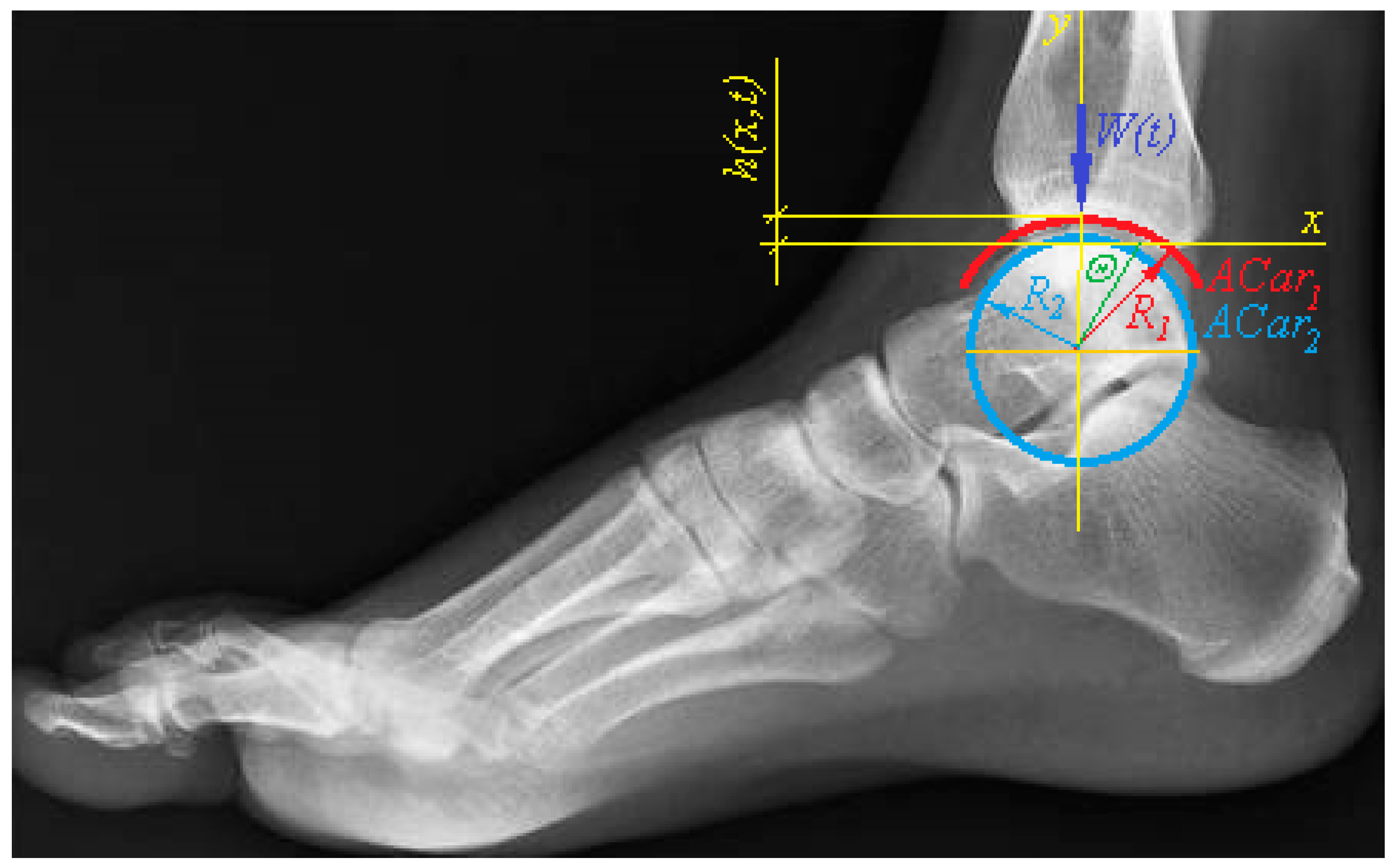 Lubricants 09 00015 g006