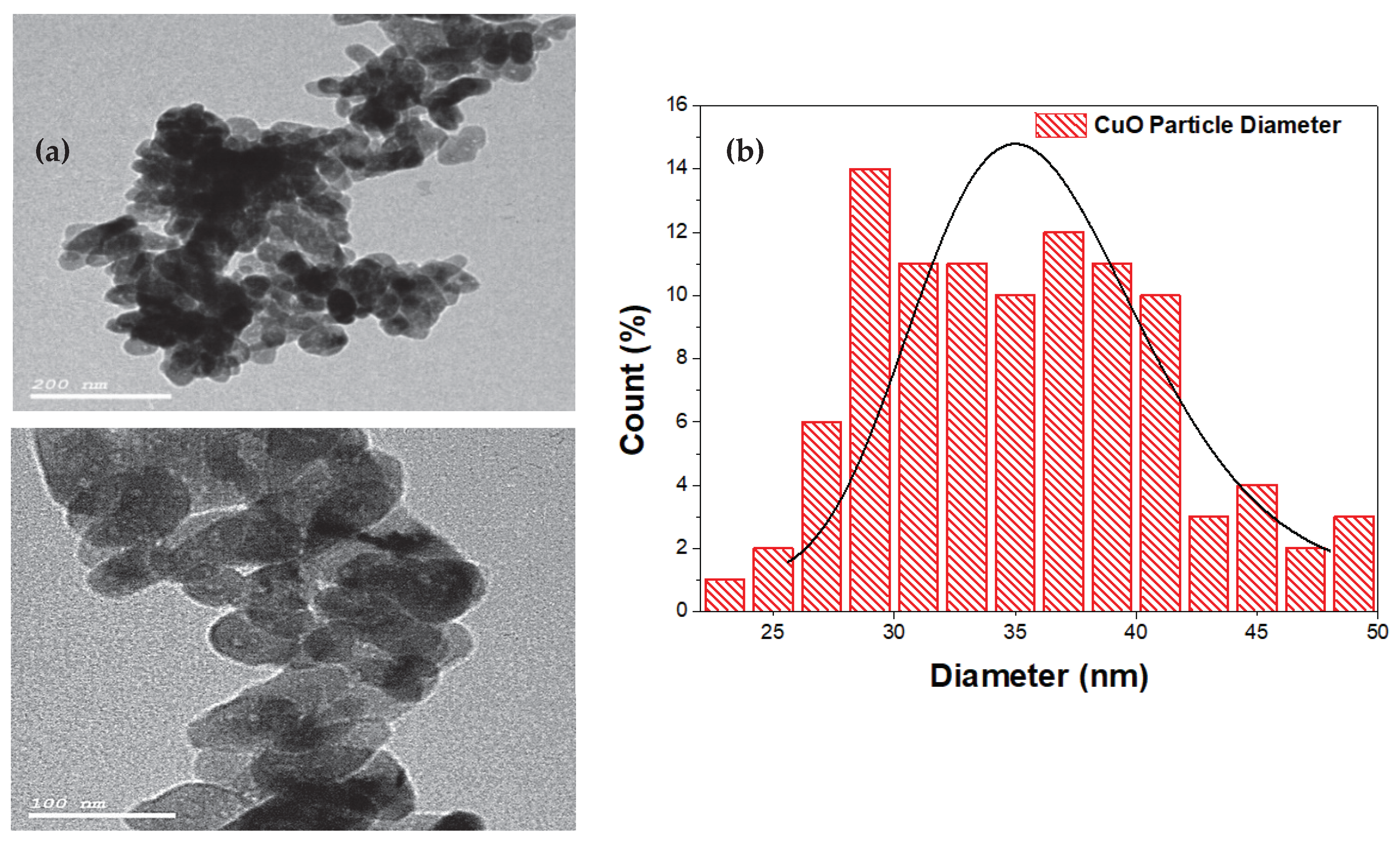 Lubricants 09 00016 g001