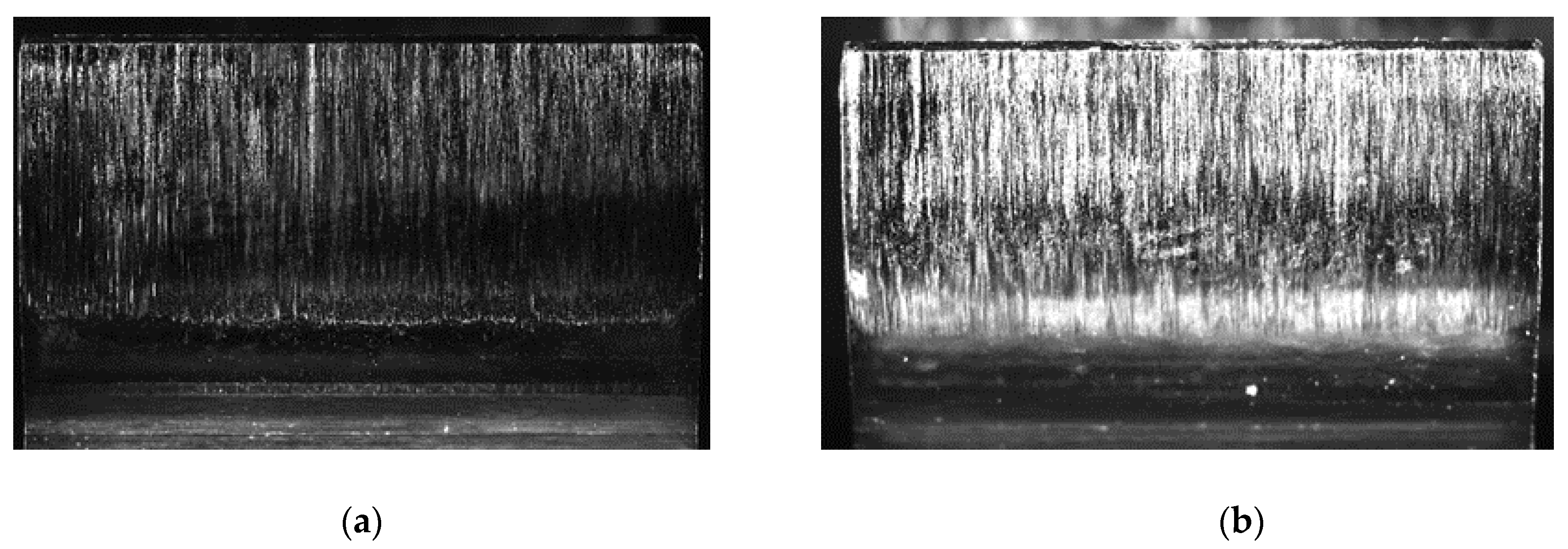 Lubricants 09 00024 g007