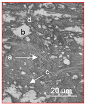Lubricants 09 00038 i005