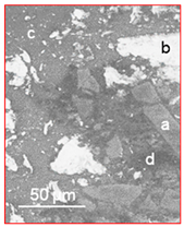 Lubricants 09 00038 i006
