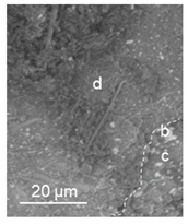 Lubricants 09 00038 i009